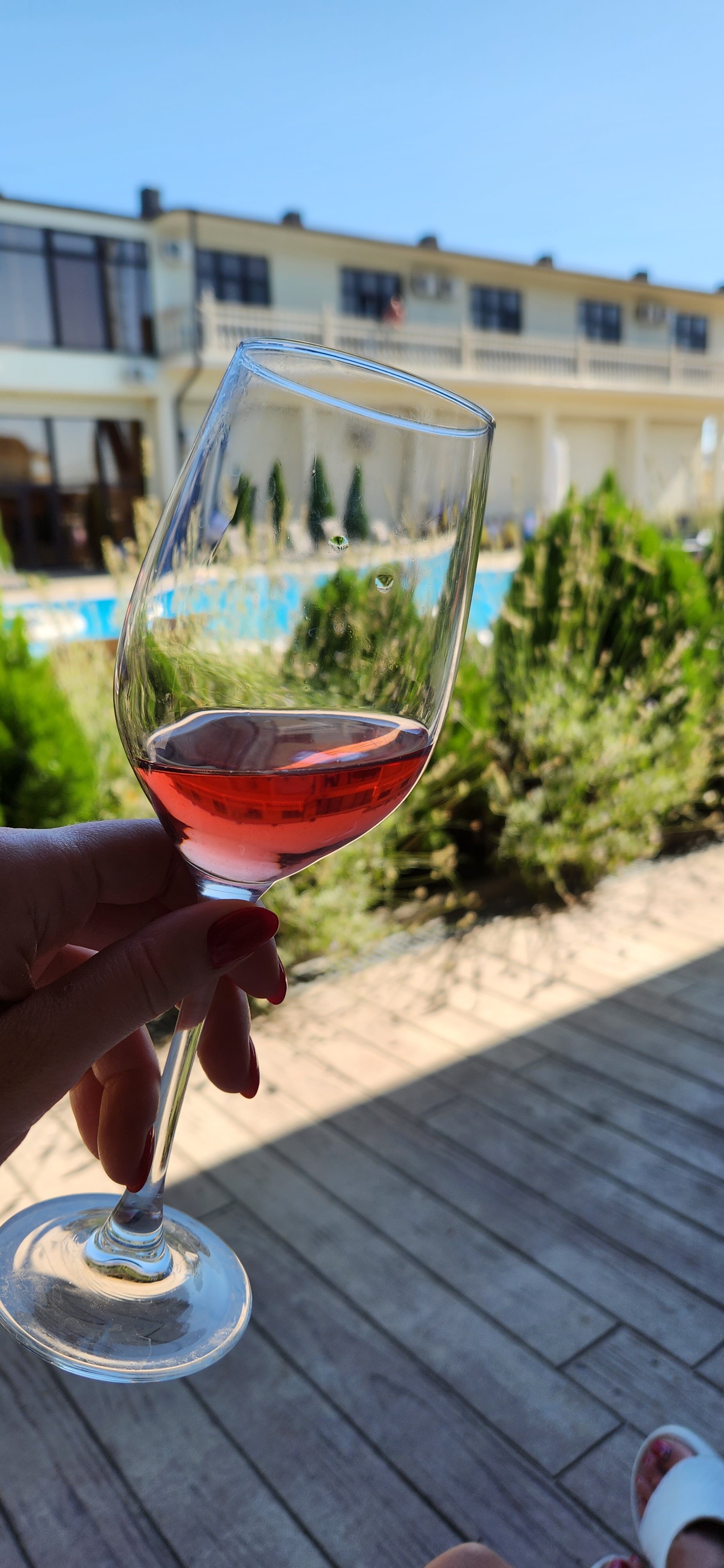 Фото Горгиппия