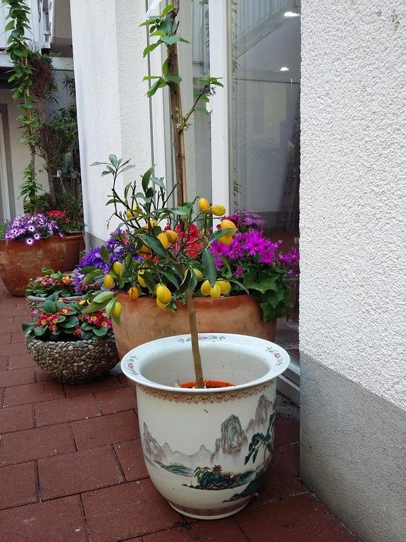 Фото Goethe Hotel Munich