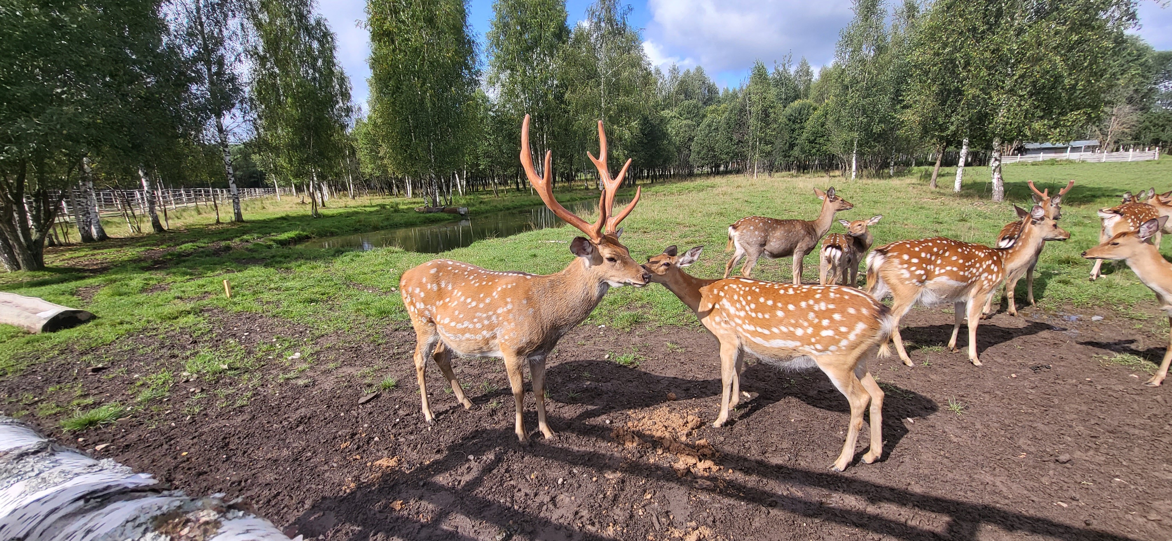 Фото Место 7