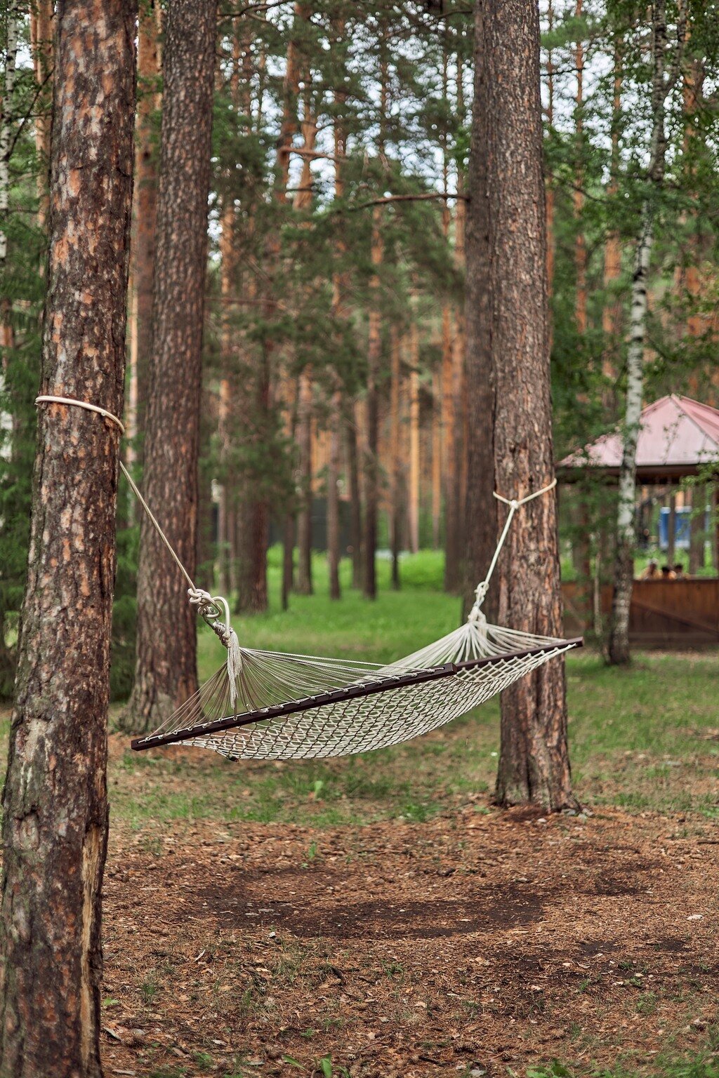 Фото Амакс Курорт ЭкоПарк