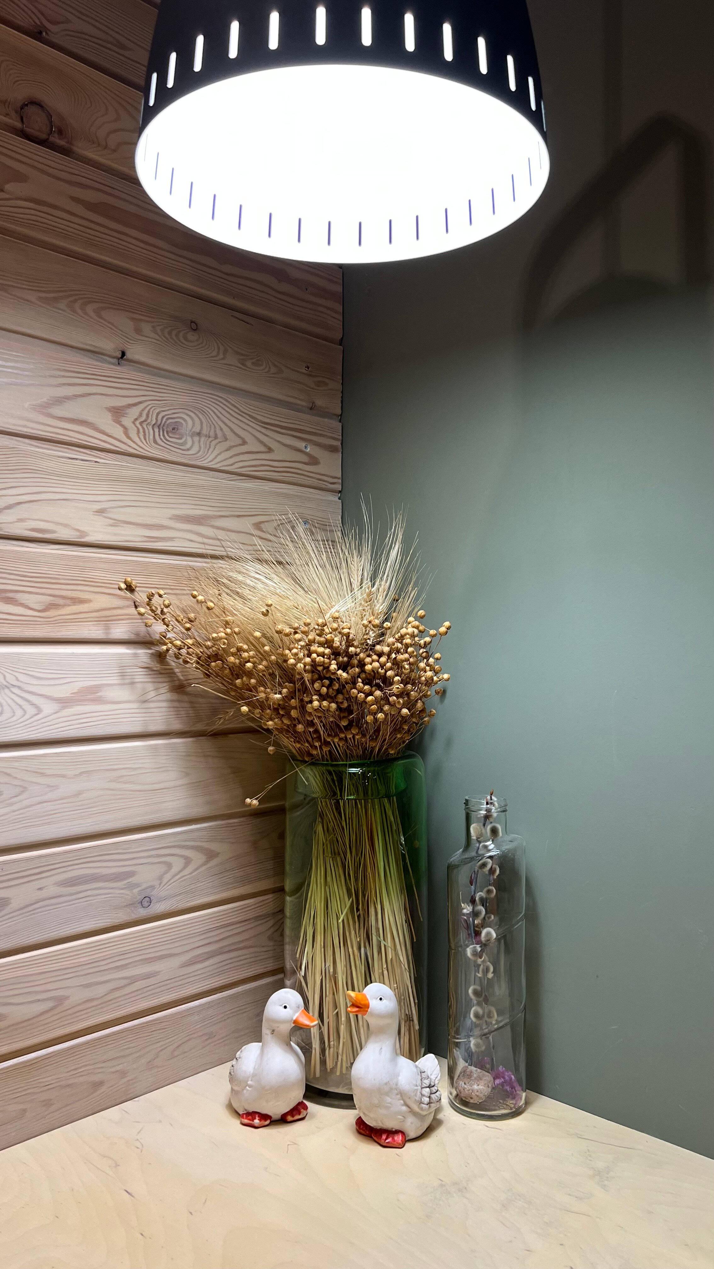 Фото Снежные Гуси