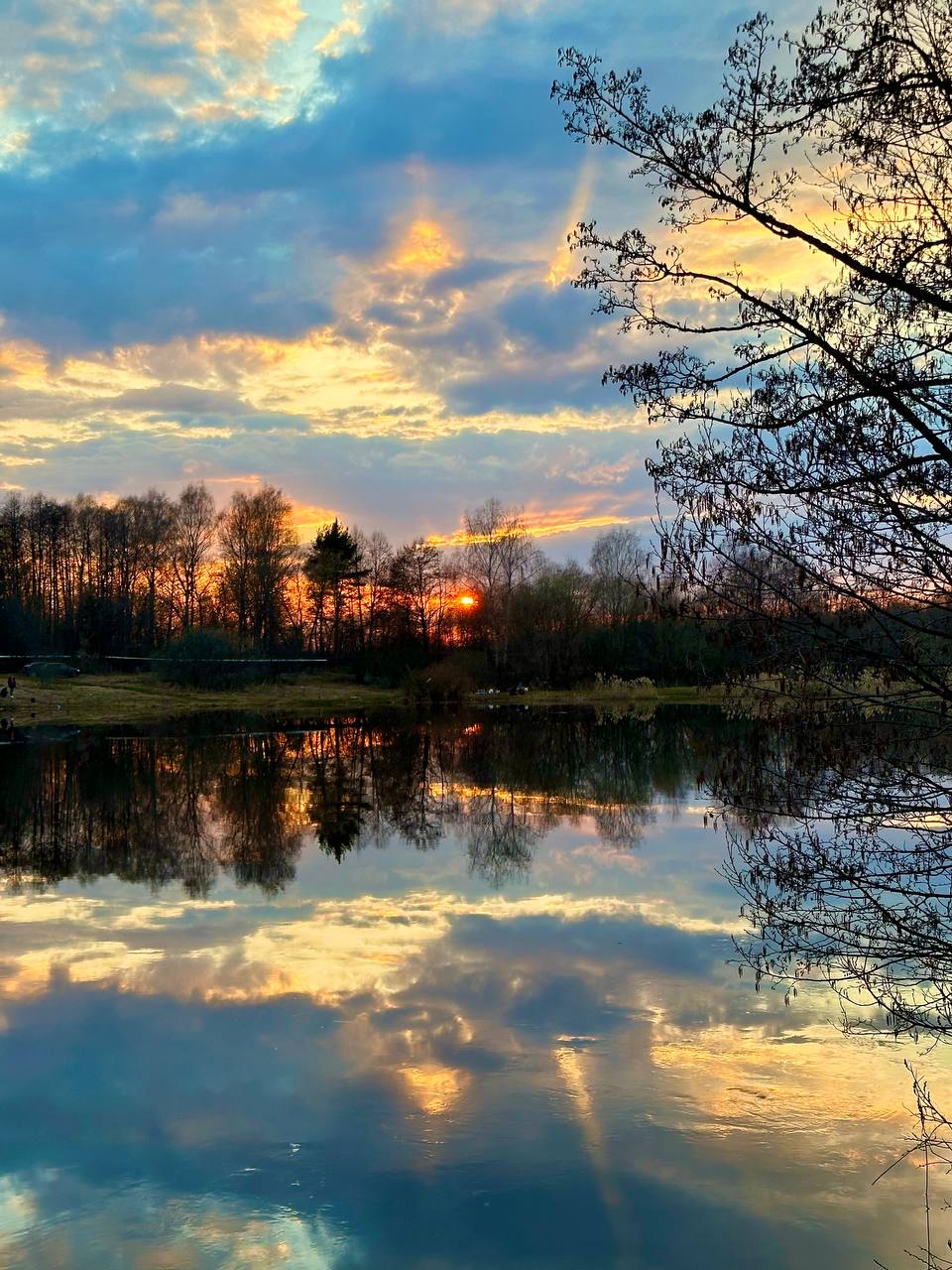 Фото HappyTreeCamp