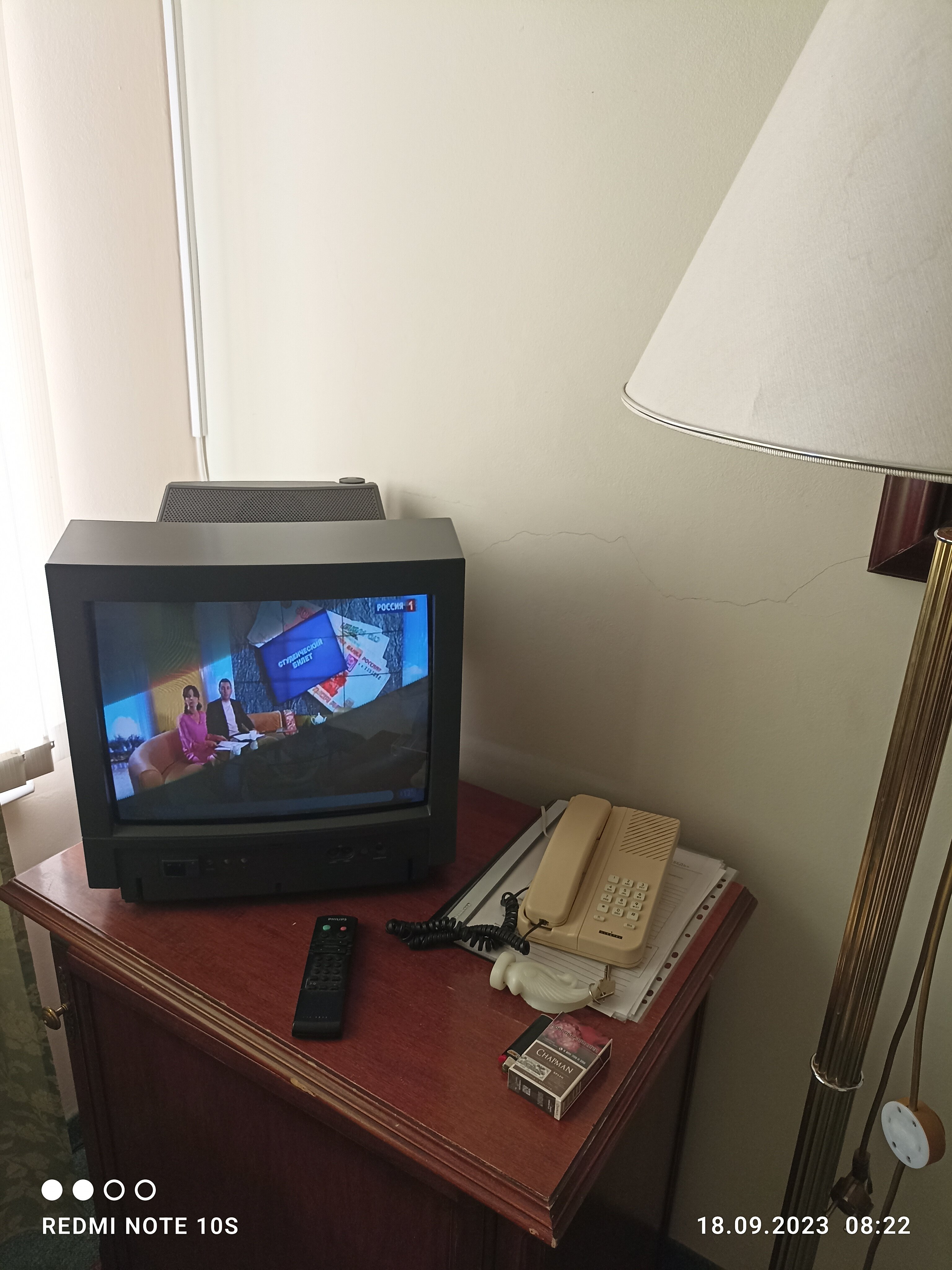 Фото Лебедь