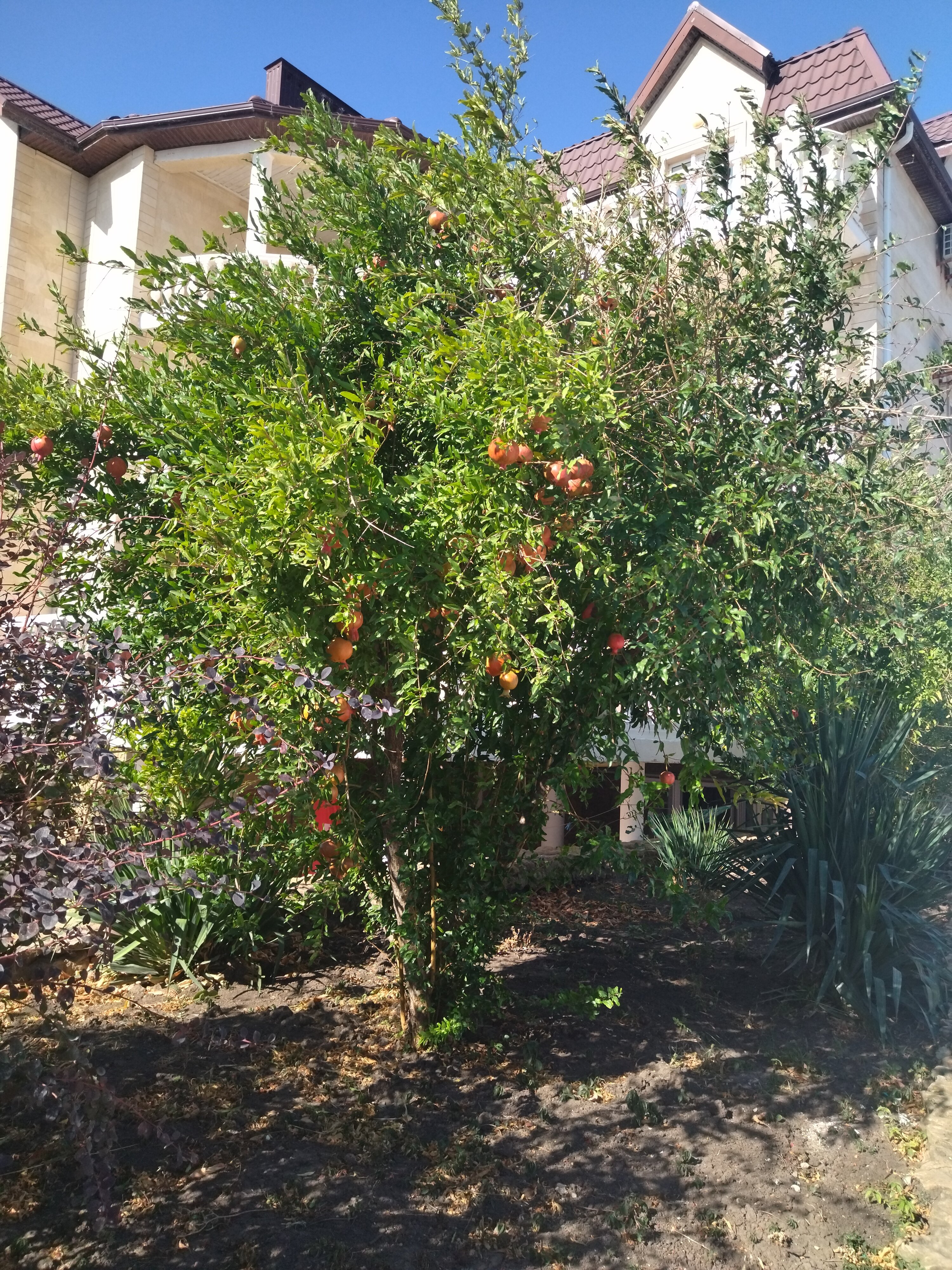 Фото Бухта Удачи