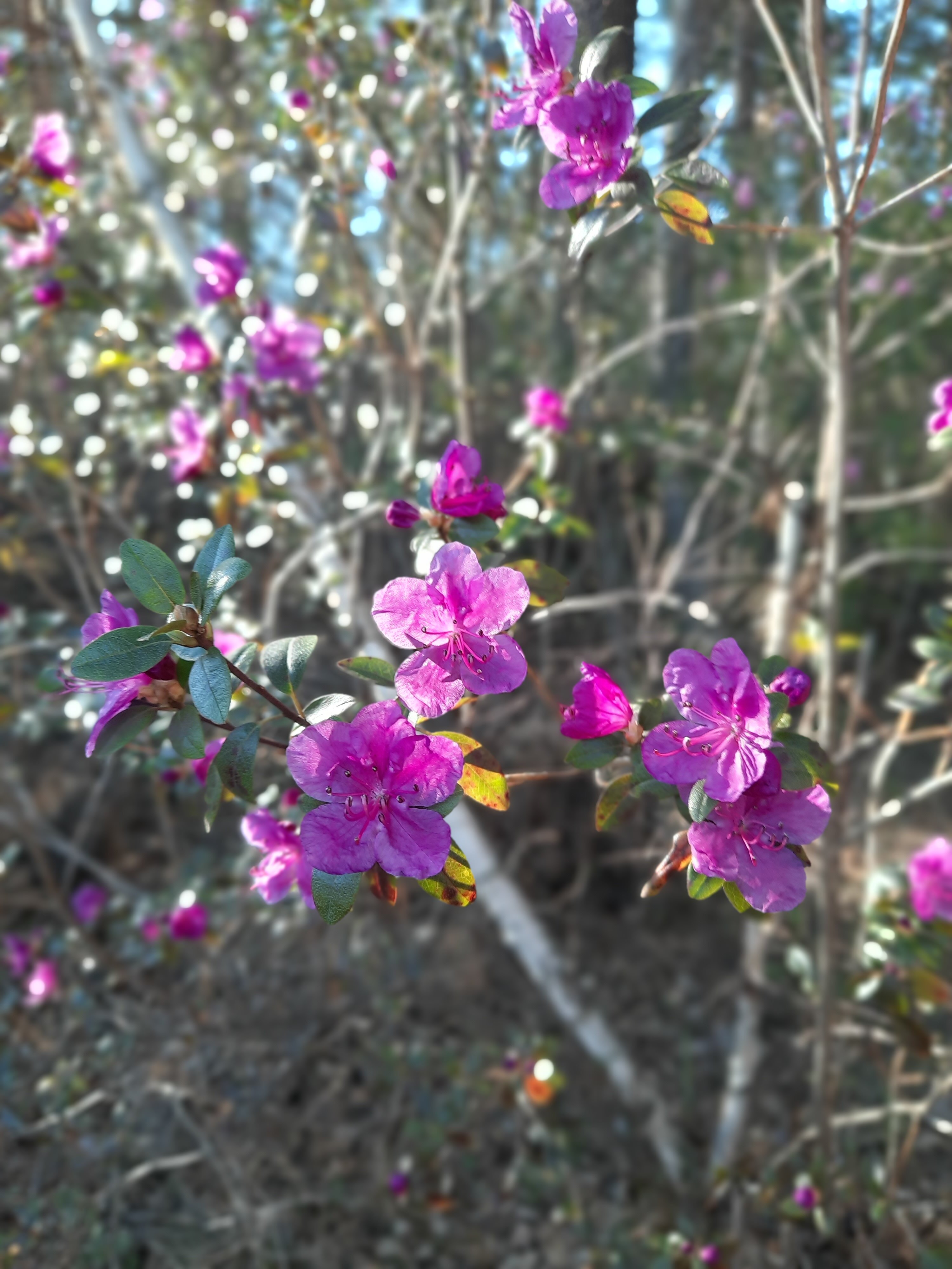 Фото Классика