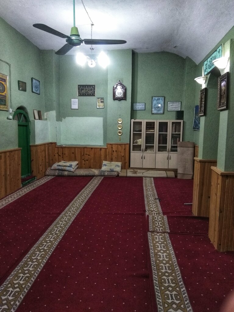 Mosque Sheikh Naccar Mosque, Siirt, photo