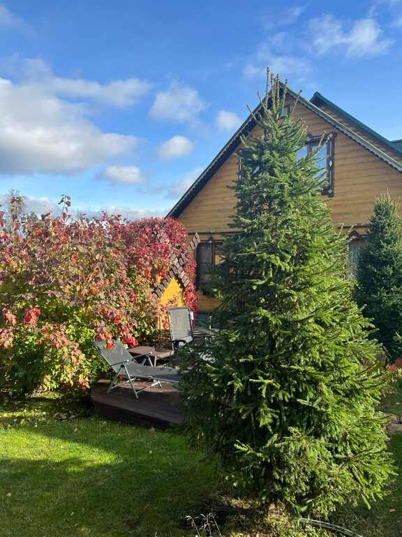 Фото Дом Шишки