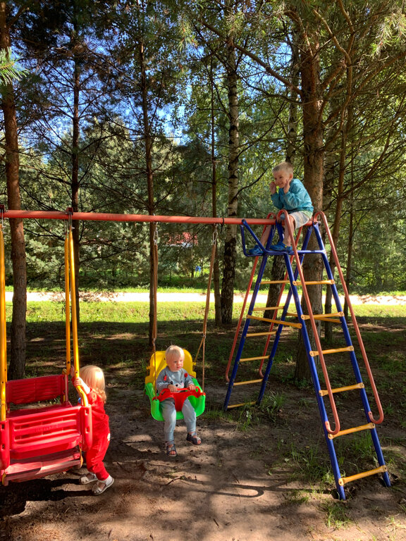 Фото Веточка