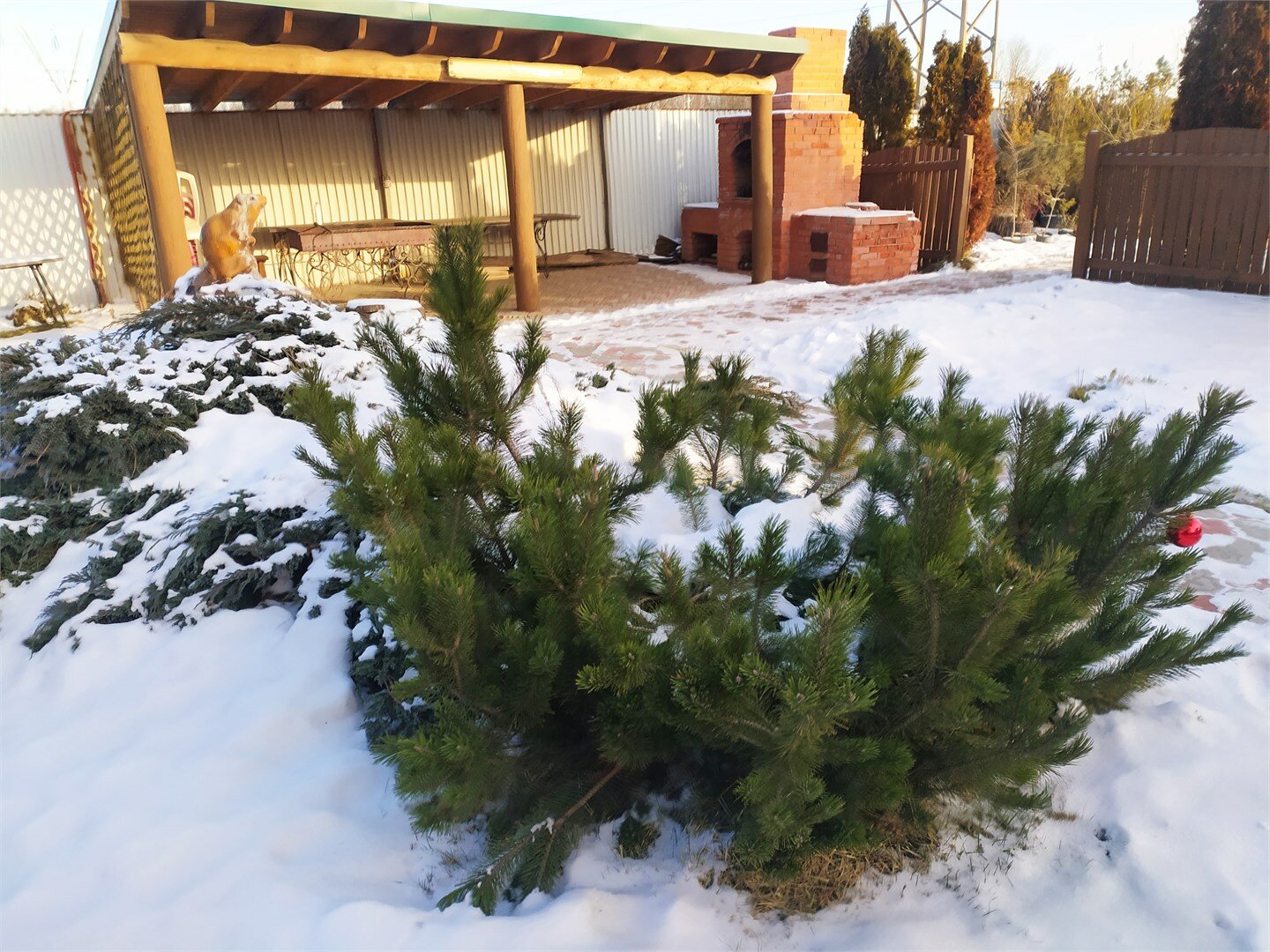 Фото Лукоморье