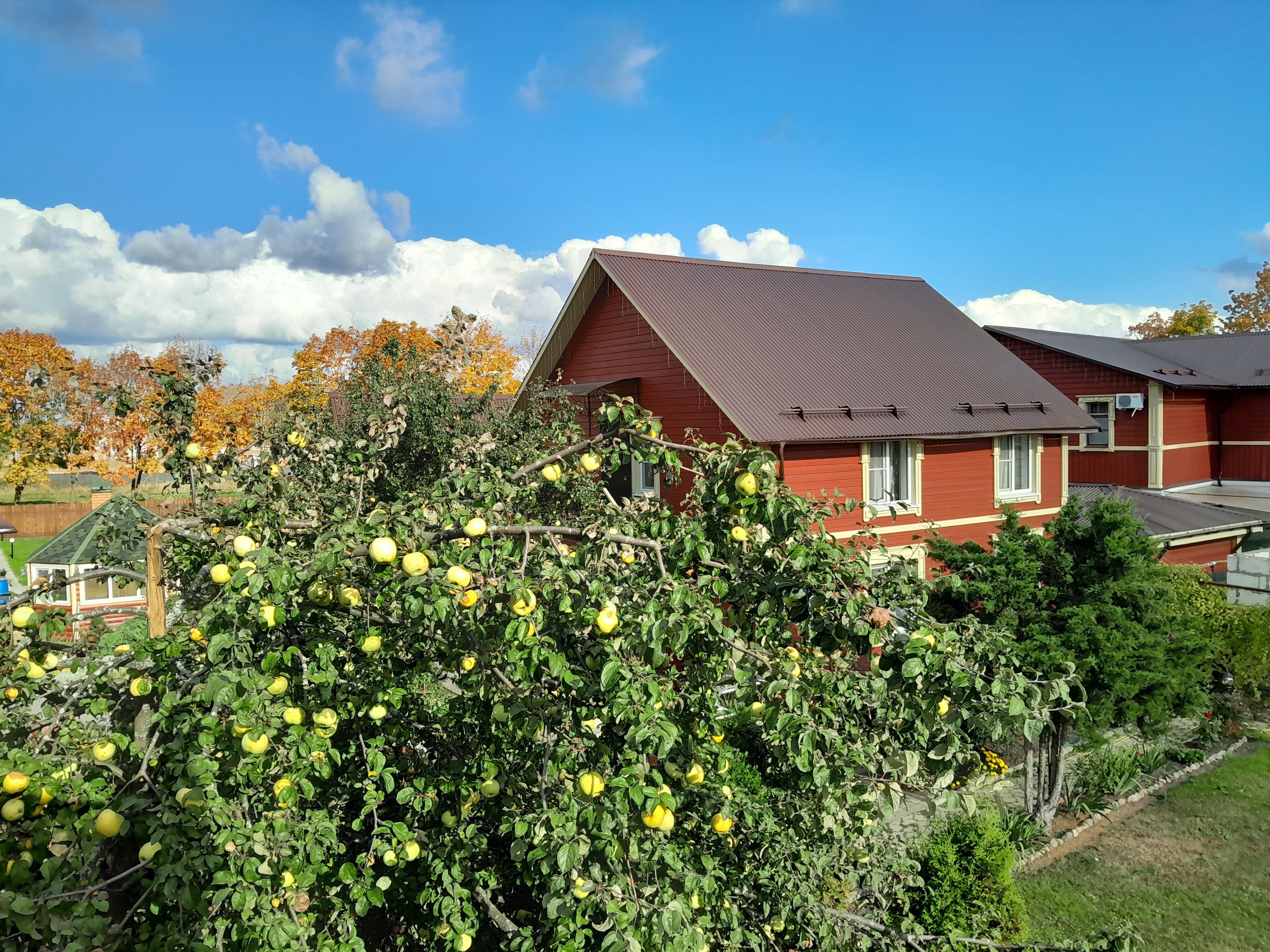 Фото Волшебный сад