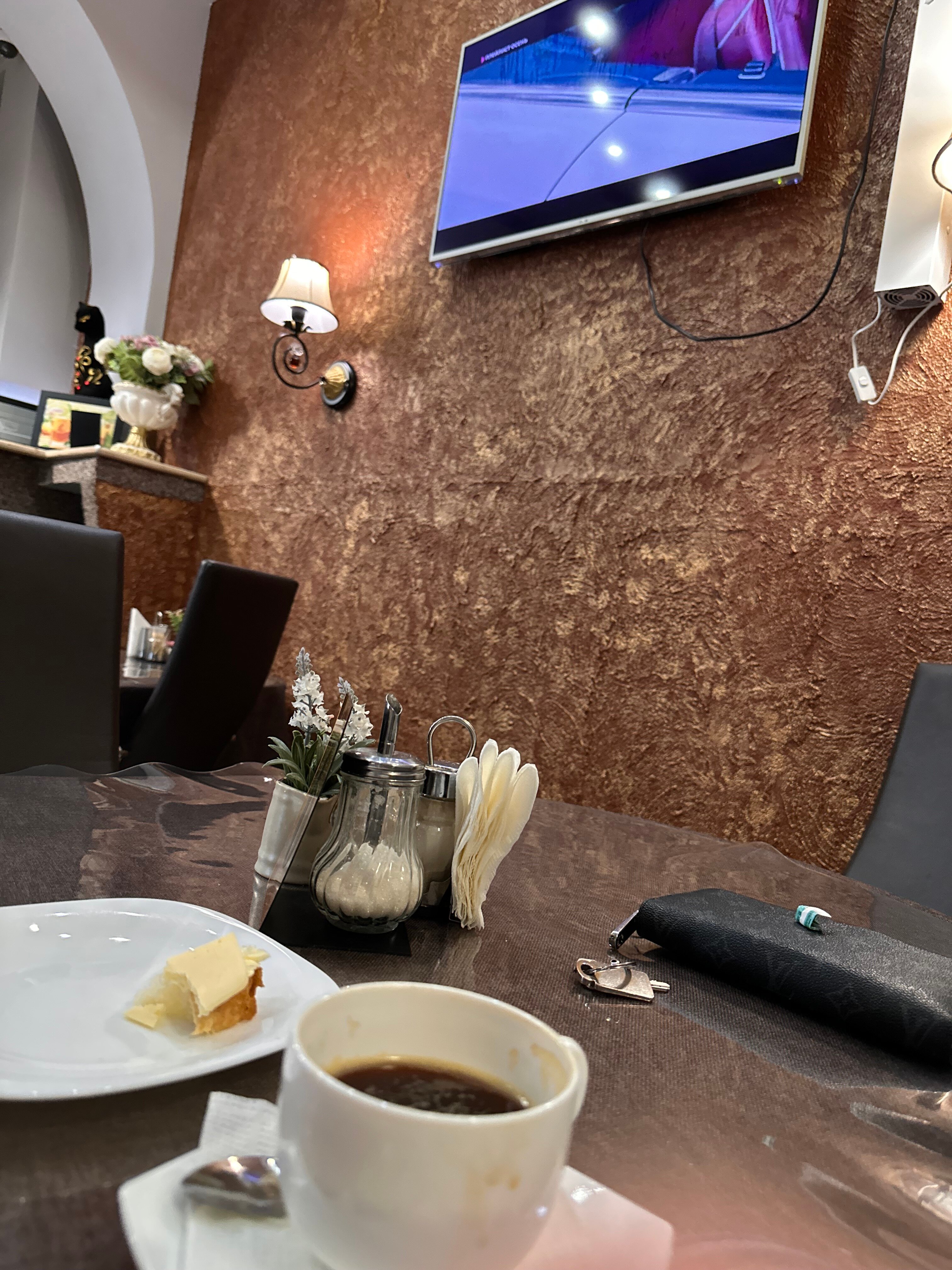 Фото Спутник