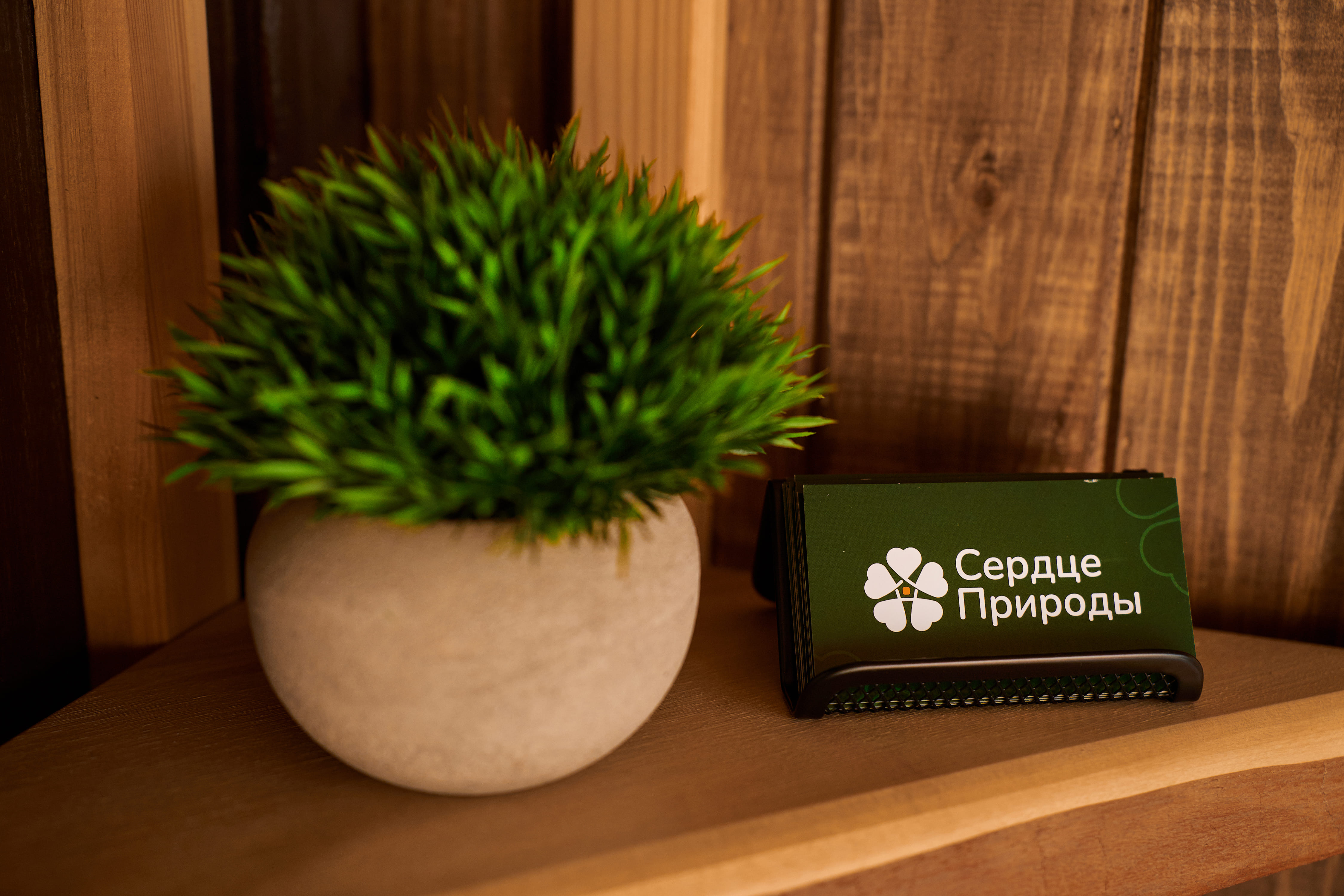 Фото Сердце Природы