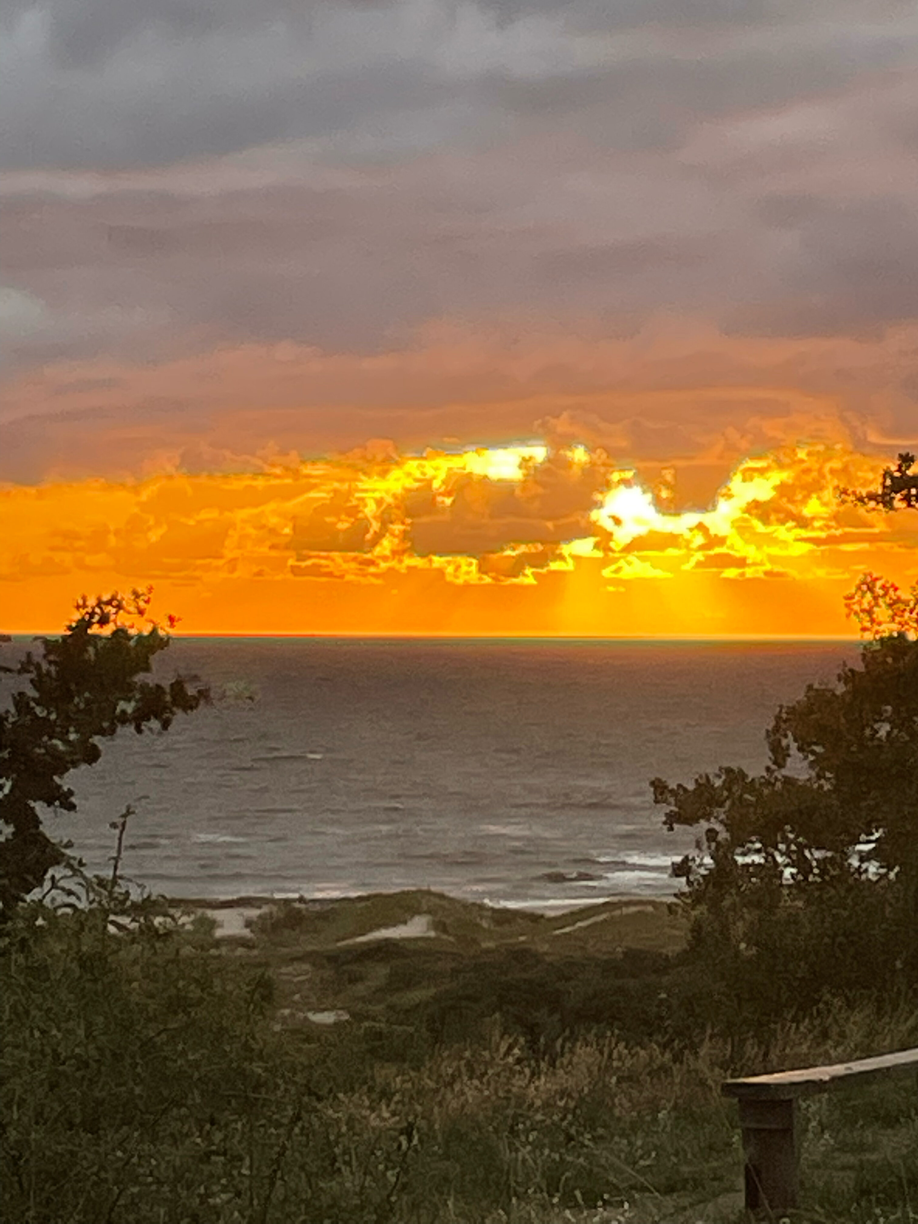 Фото Янтарная Корона