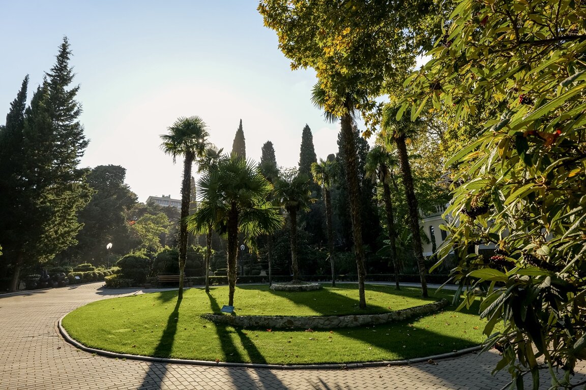 Фото Пушкино