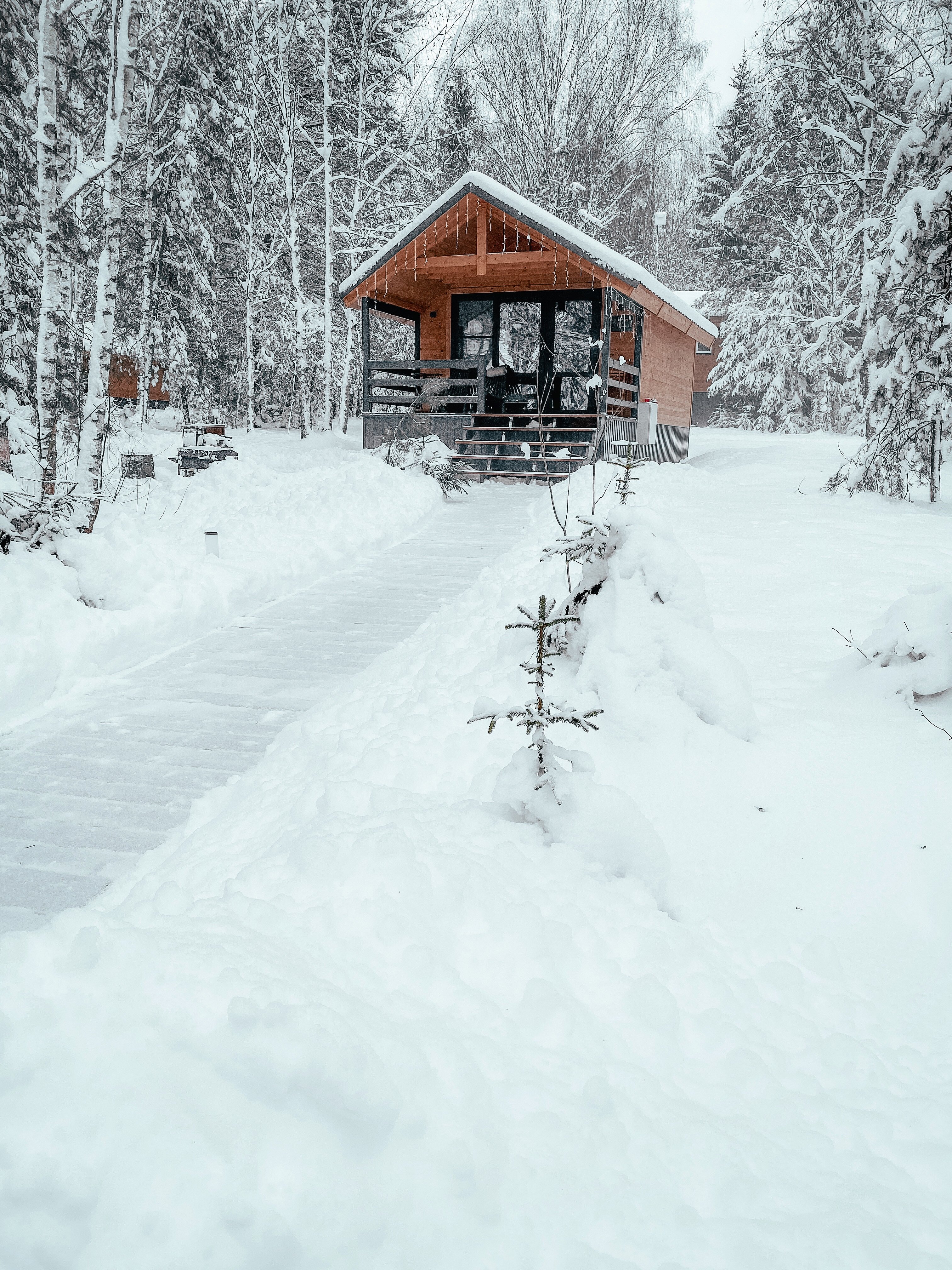 Фото Никольские росы