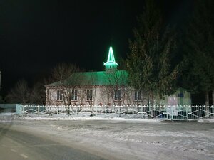 Мечеть (Центральная ул., 1А, село Алеево), мечеть в Пензенской области