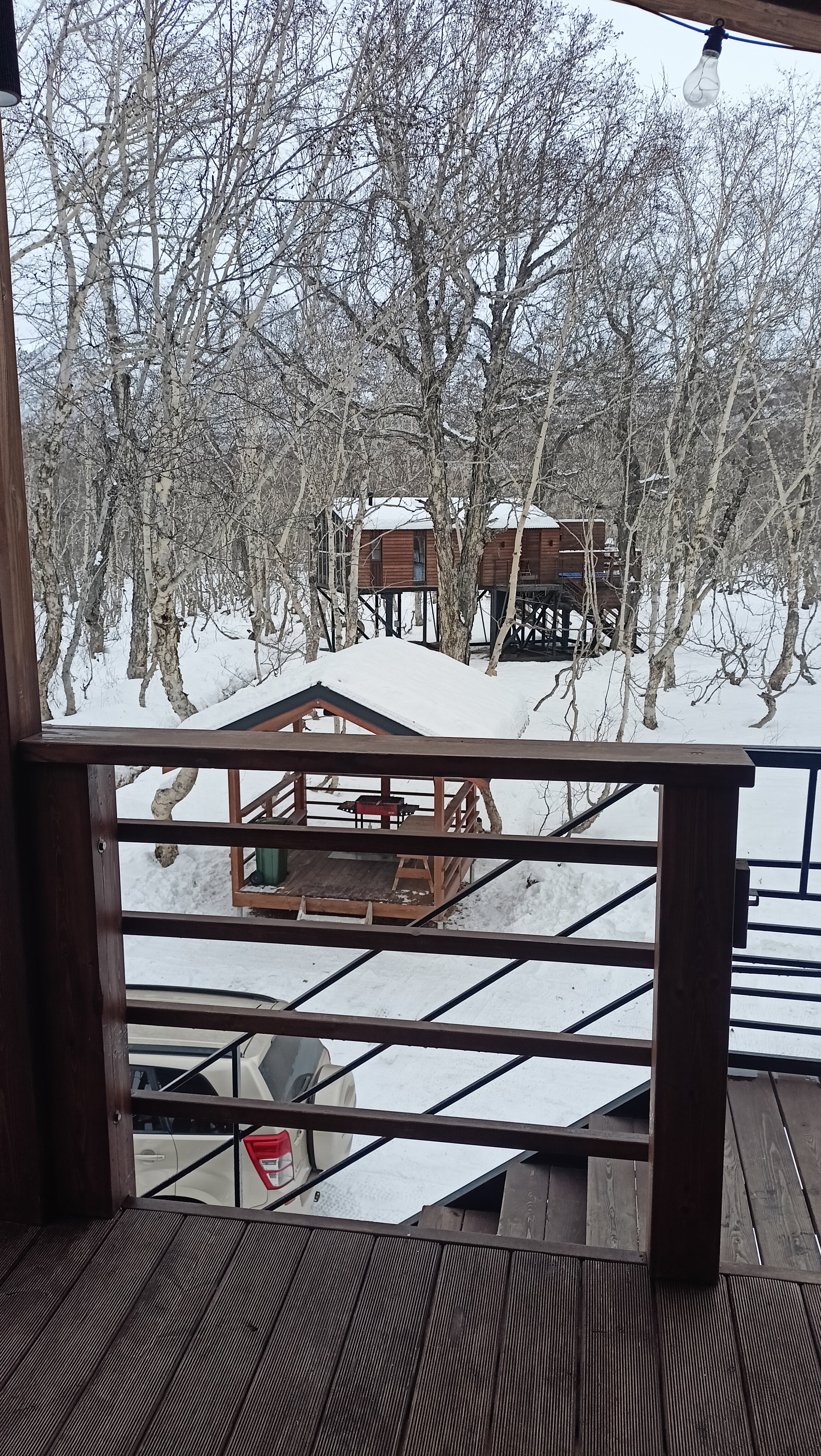 Фото Камчатка Форест Лодж