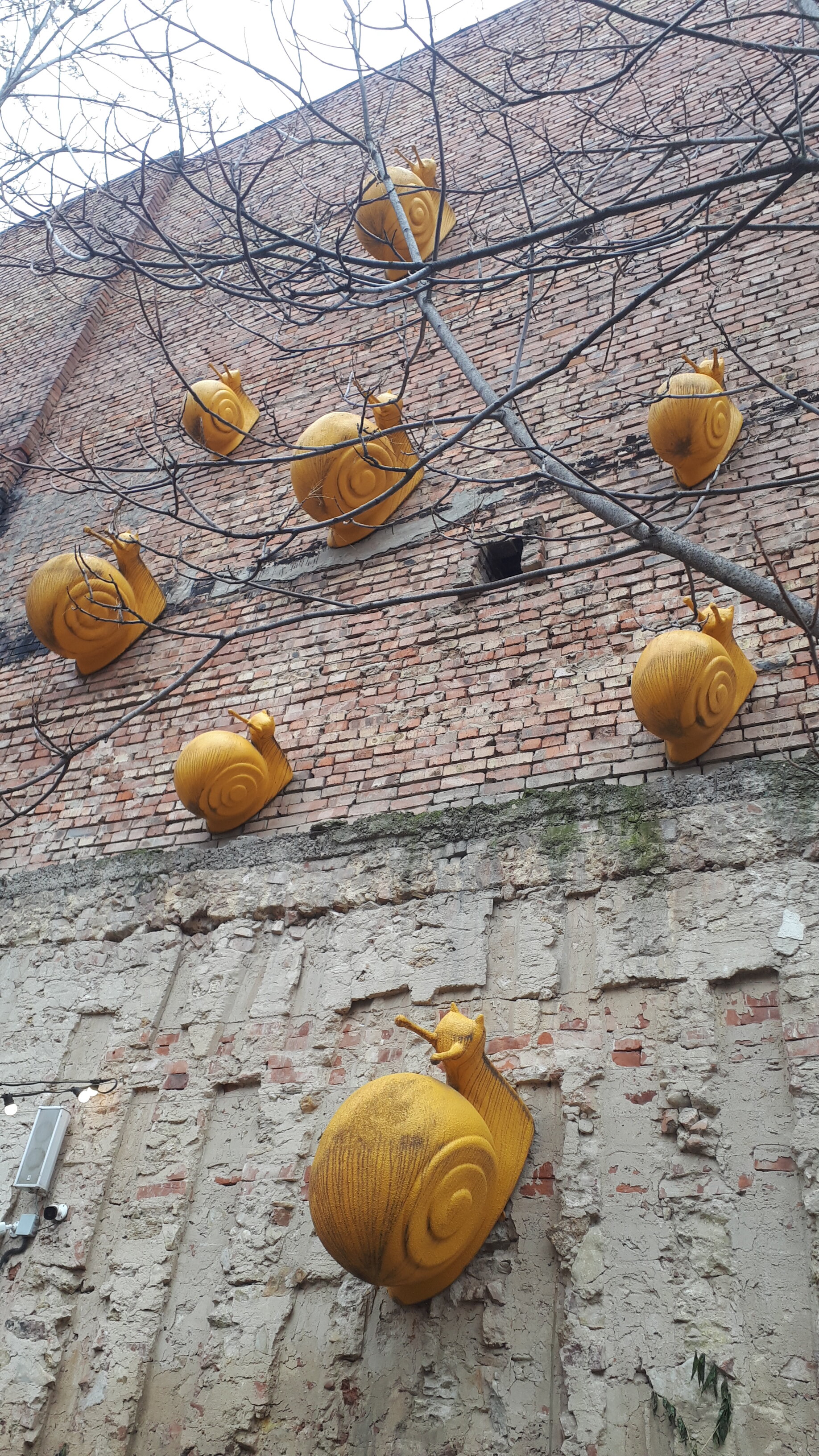 Фото БиблиОтель