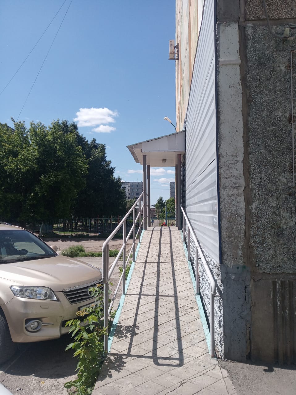 Фото Подсолнух