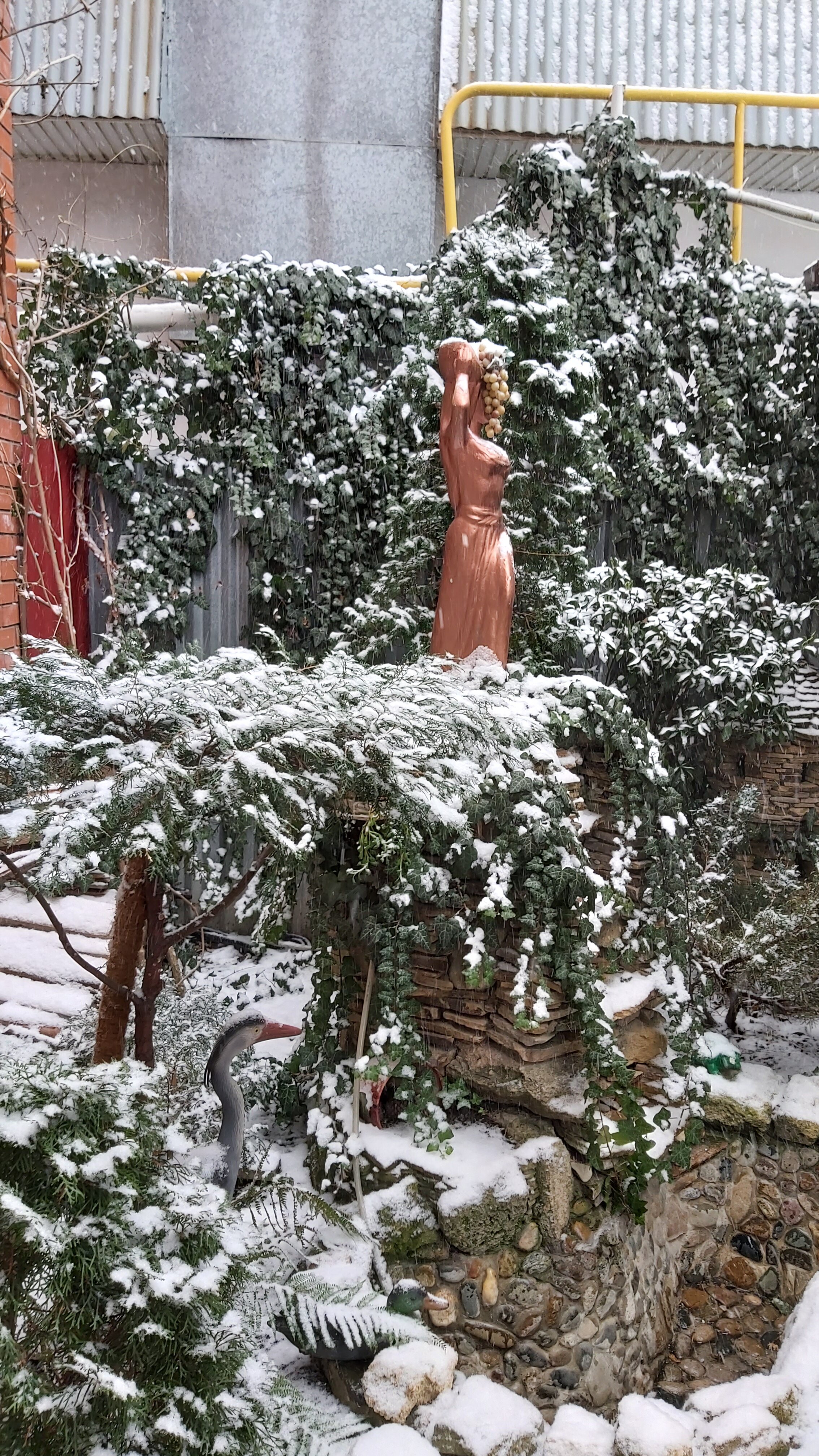 Фото Катерина