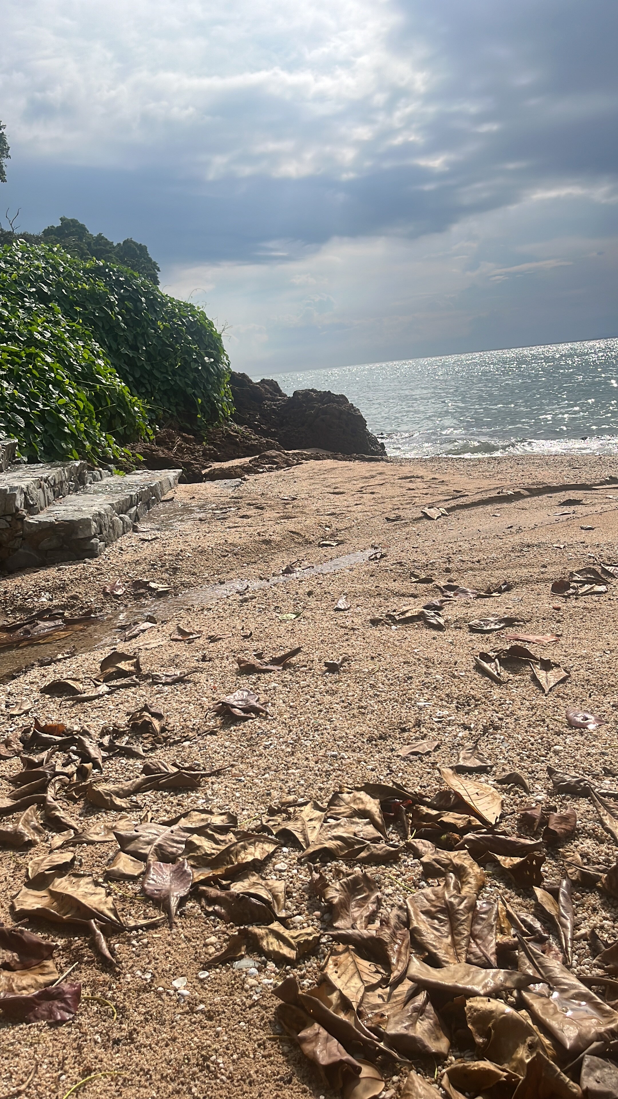 Фото The Monttra Pattaya