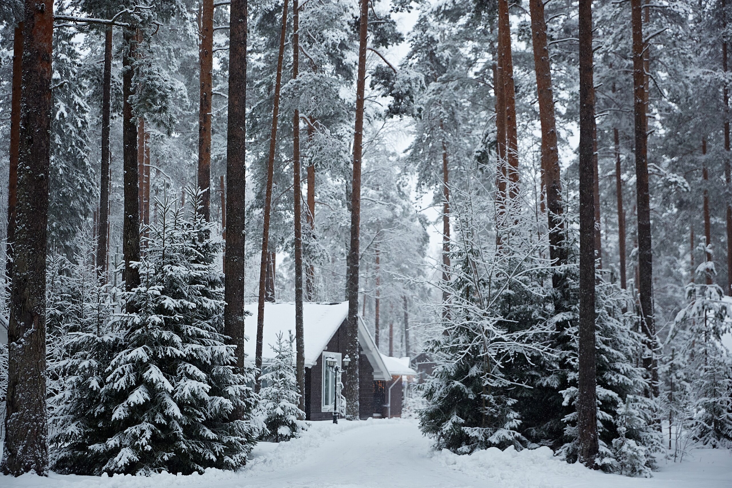 Фото Царство-Королевство