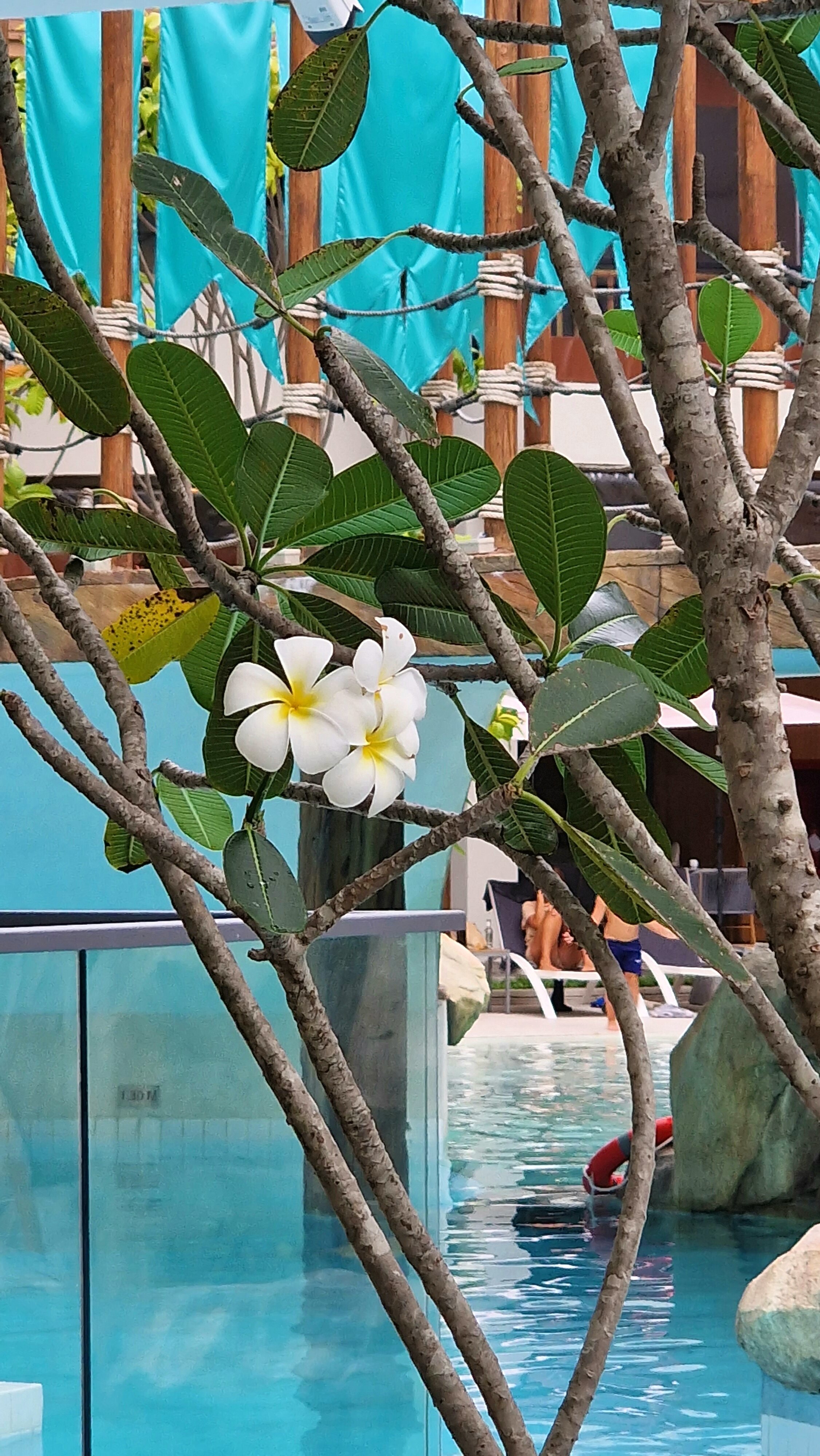 Фото Phuket Emerald Beach Resort