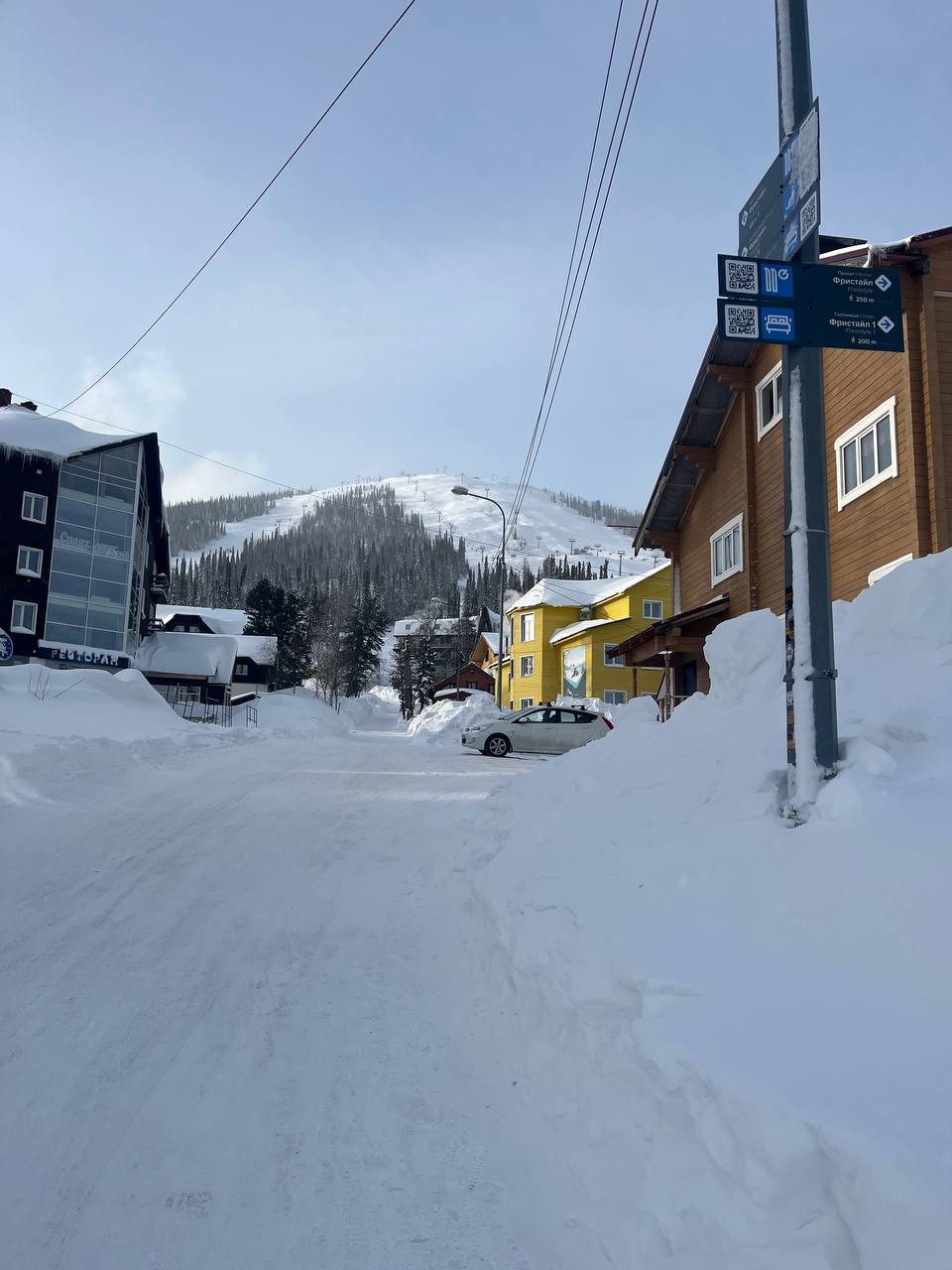 Фото Медведица