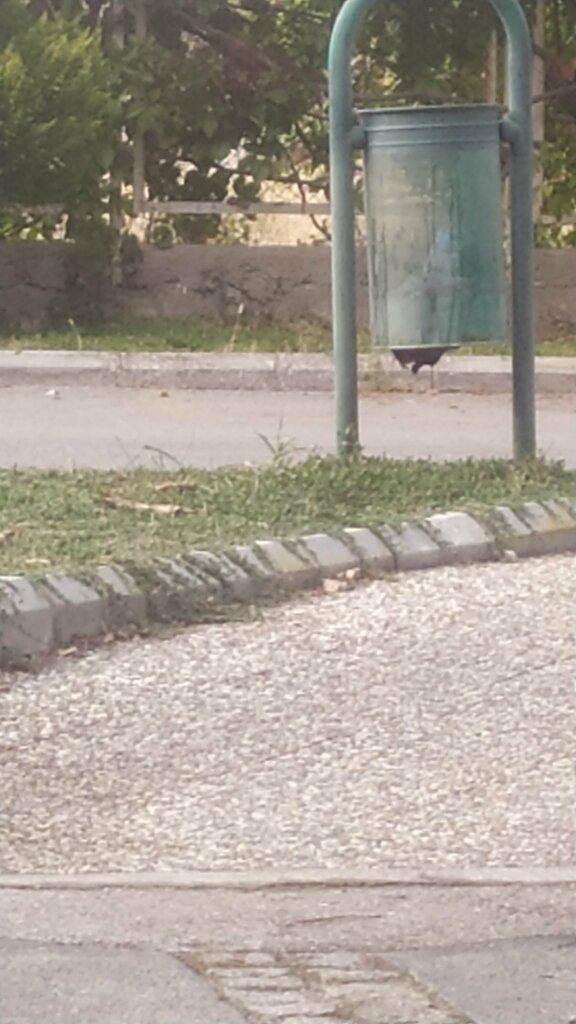 Park Justice and Democracy Park, Izmir, photo