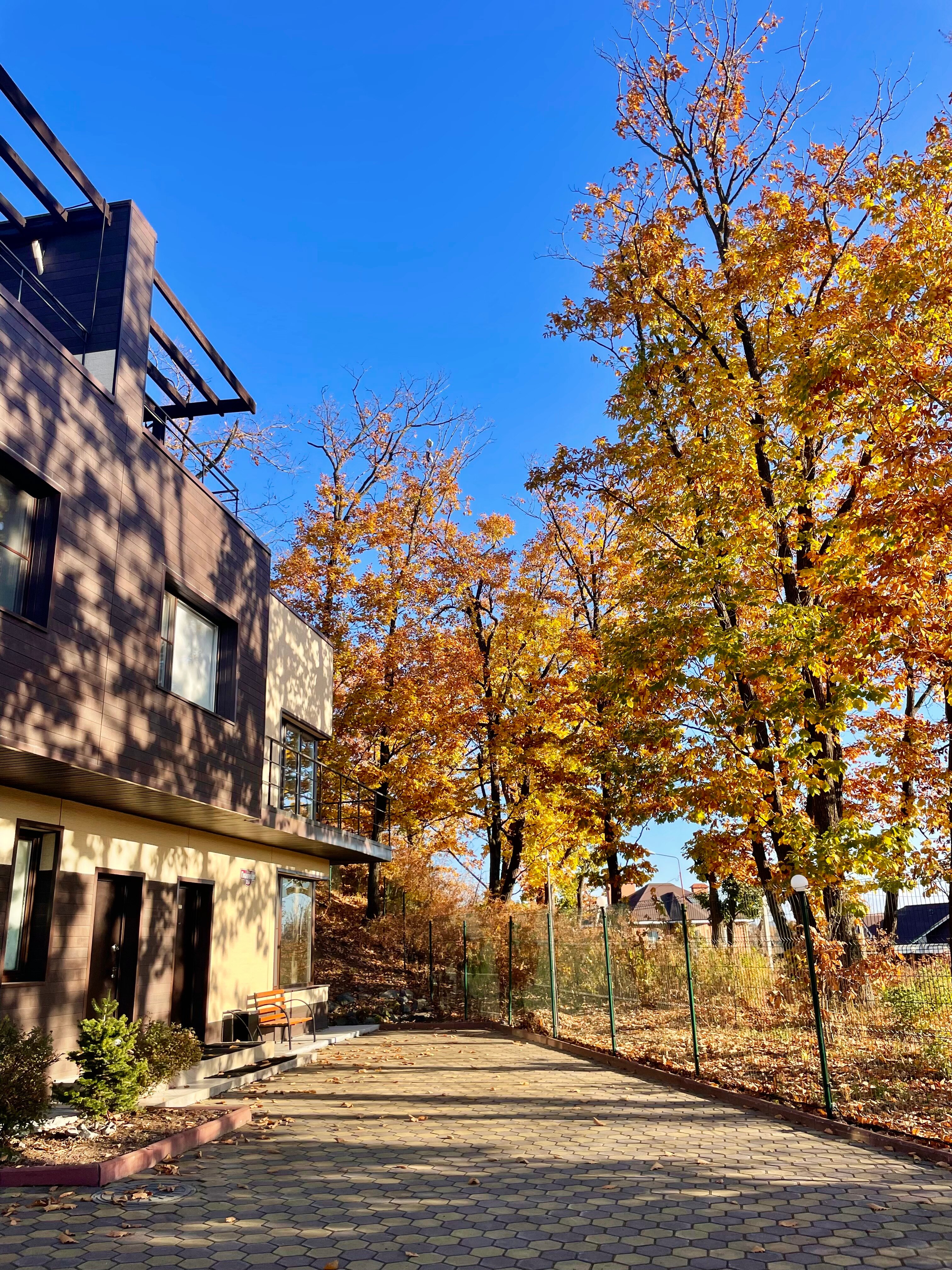 Фото Главный