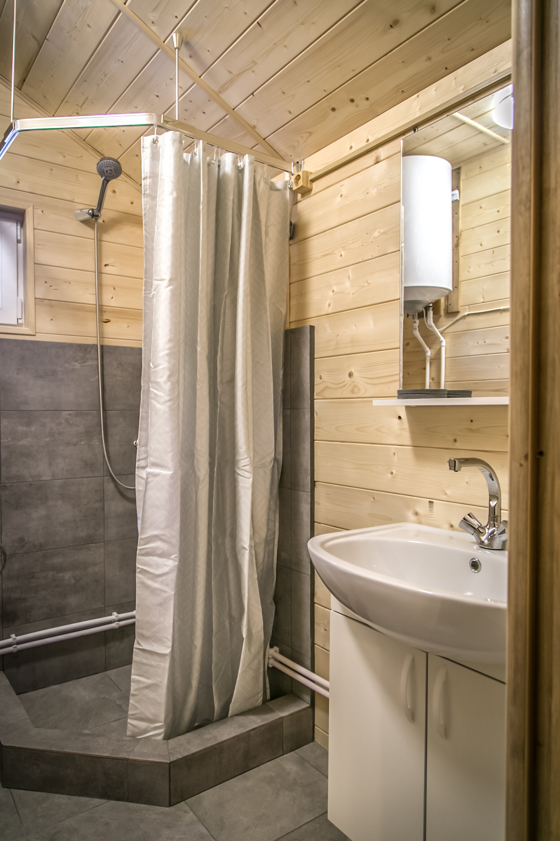 Фото Дикая Лошадь