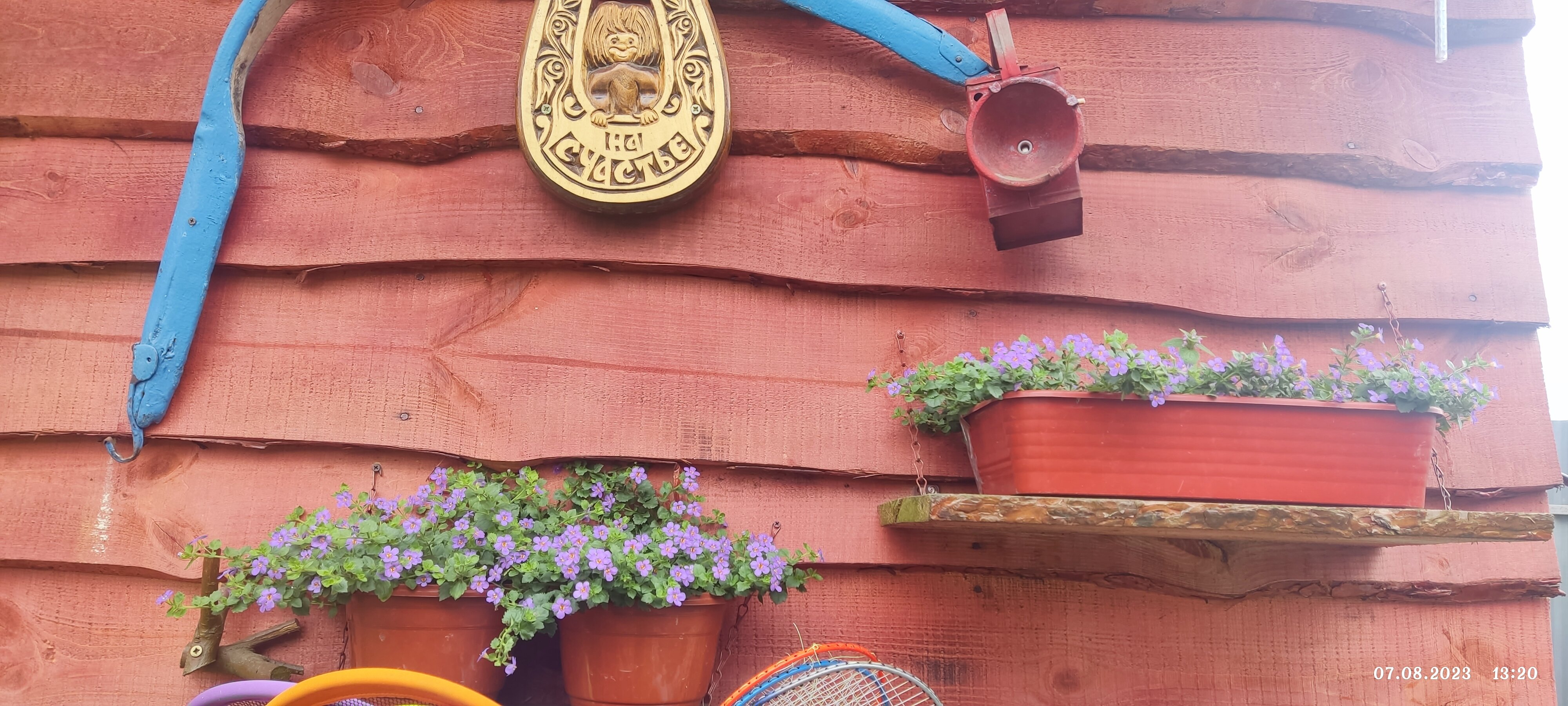 Фото Ясная поляна