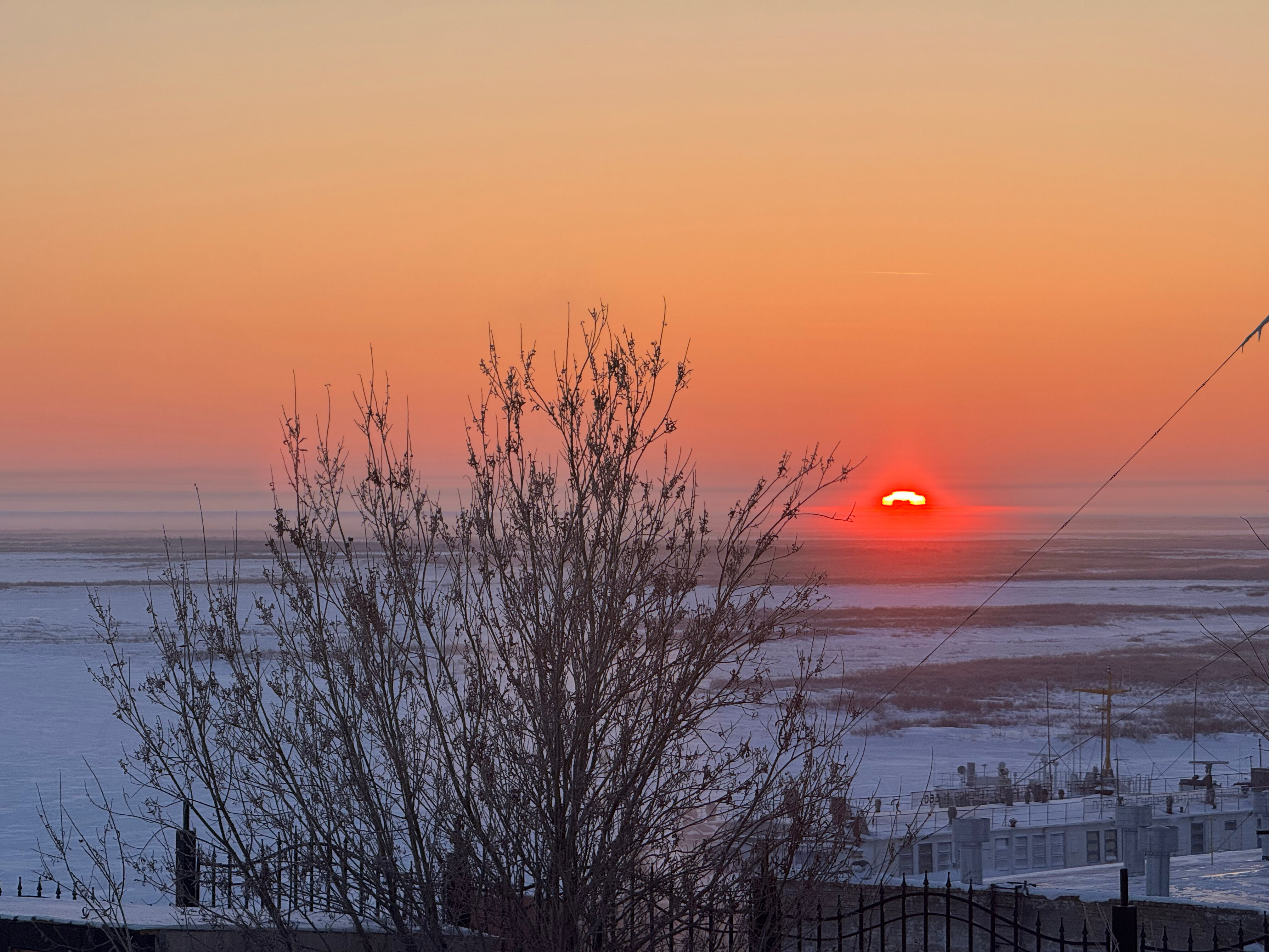 Фото Брусника