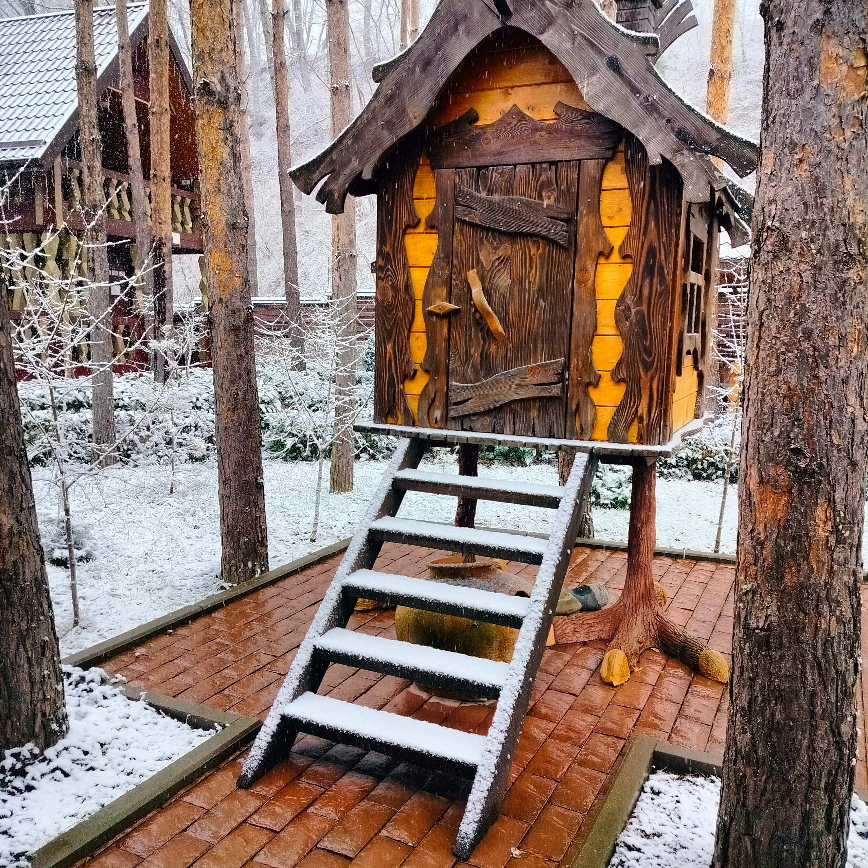 Фото Прохладный