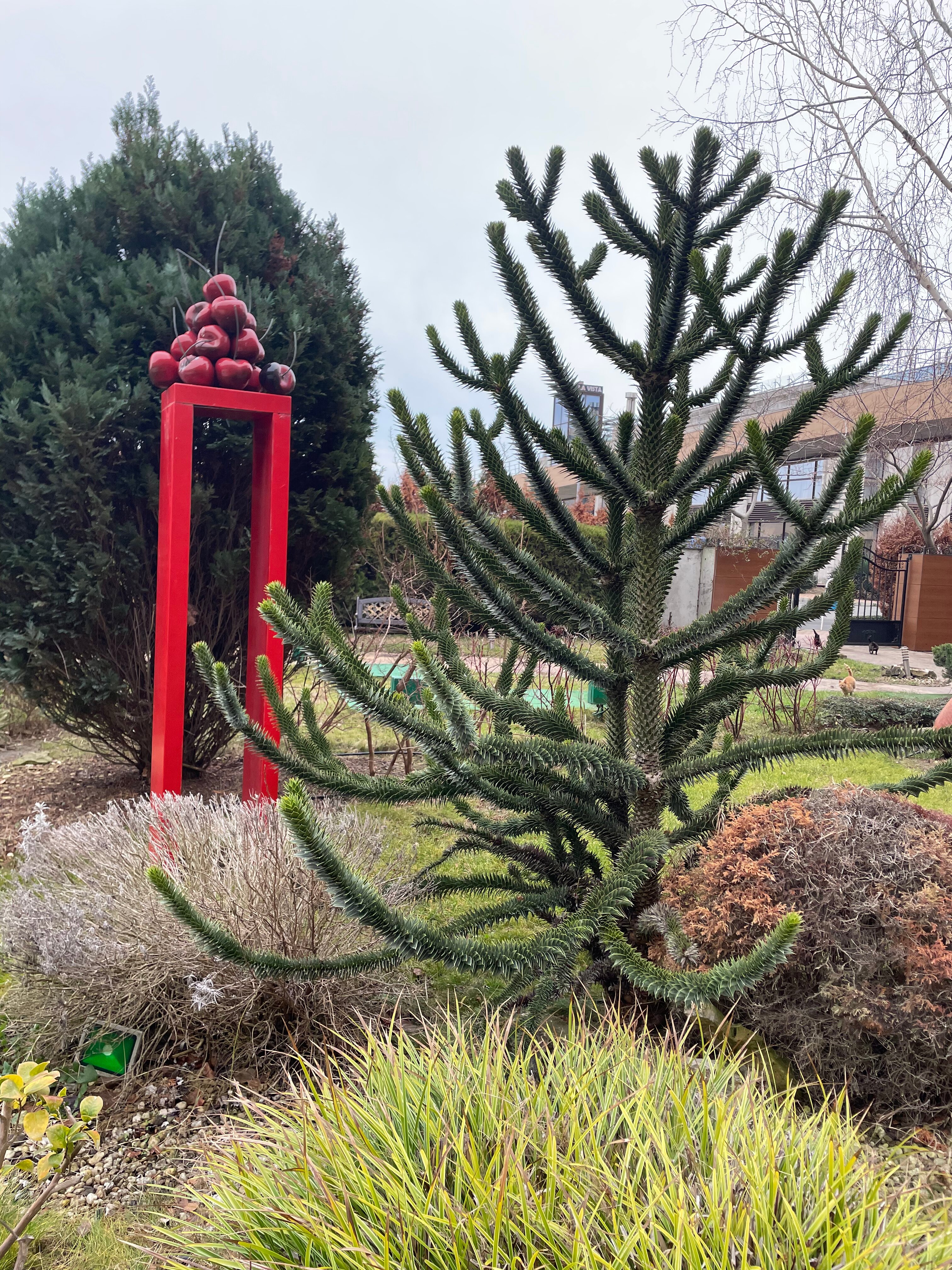 Фото Grand Hotel Pomorie