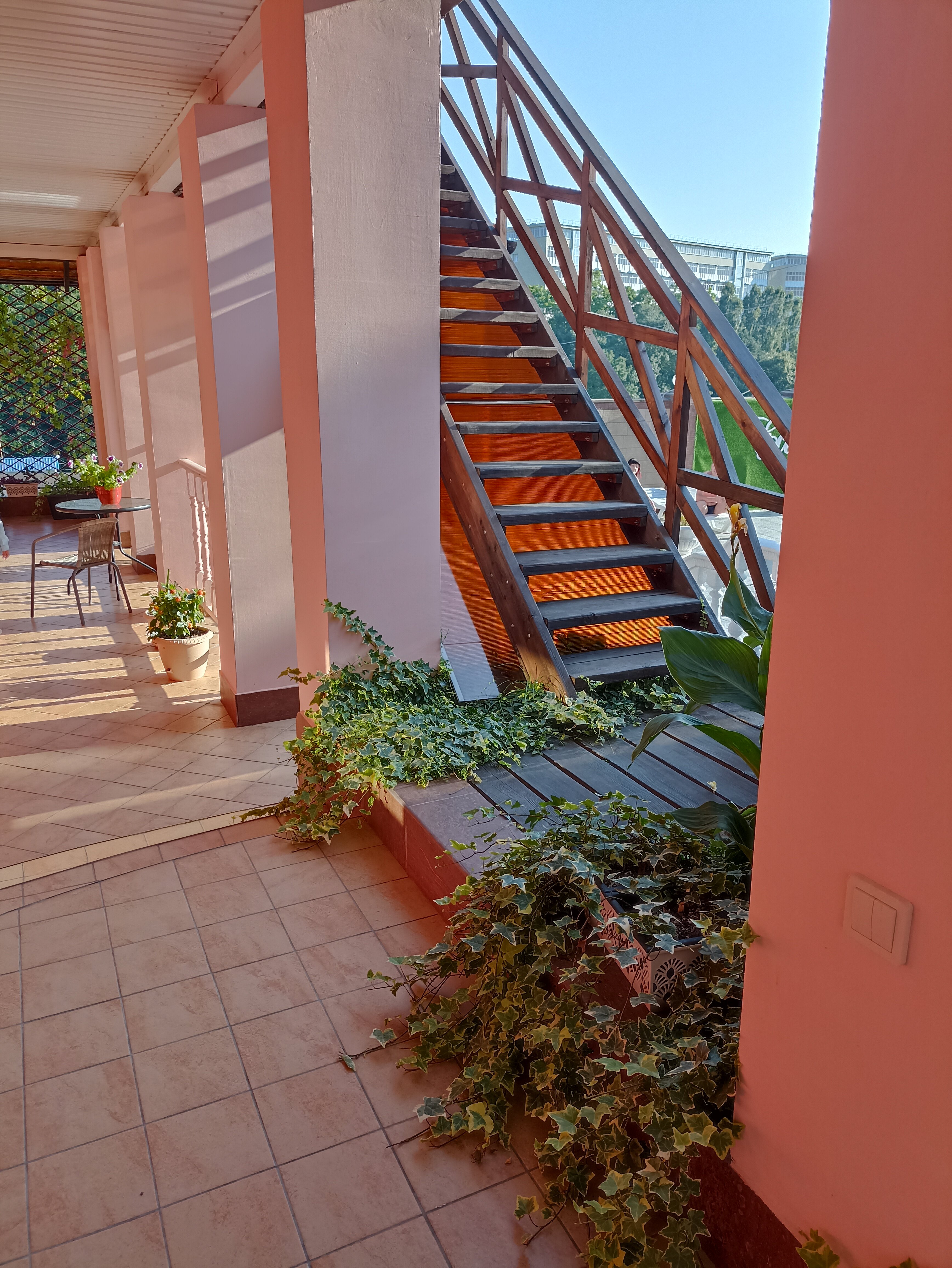 Фото Лирион