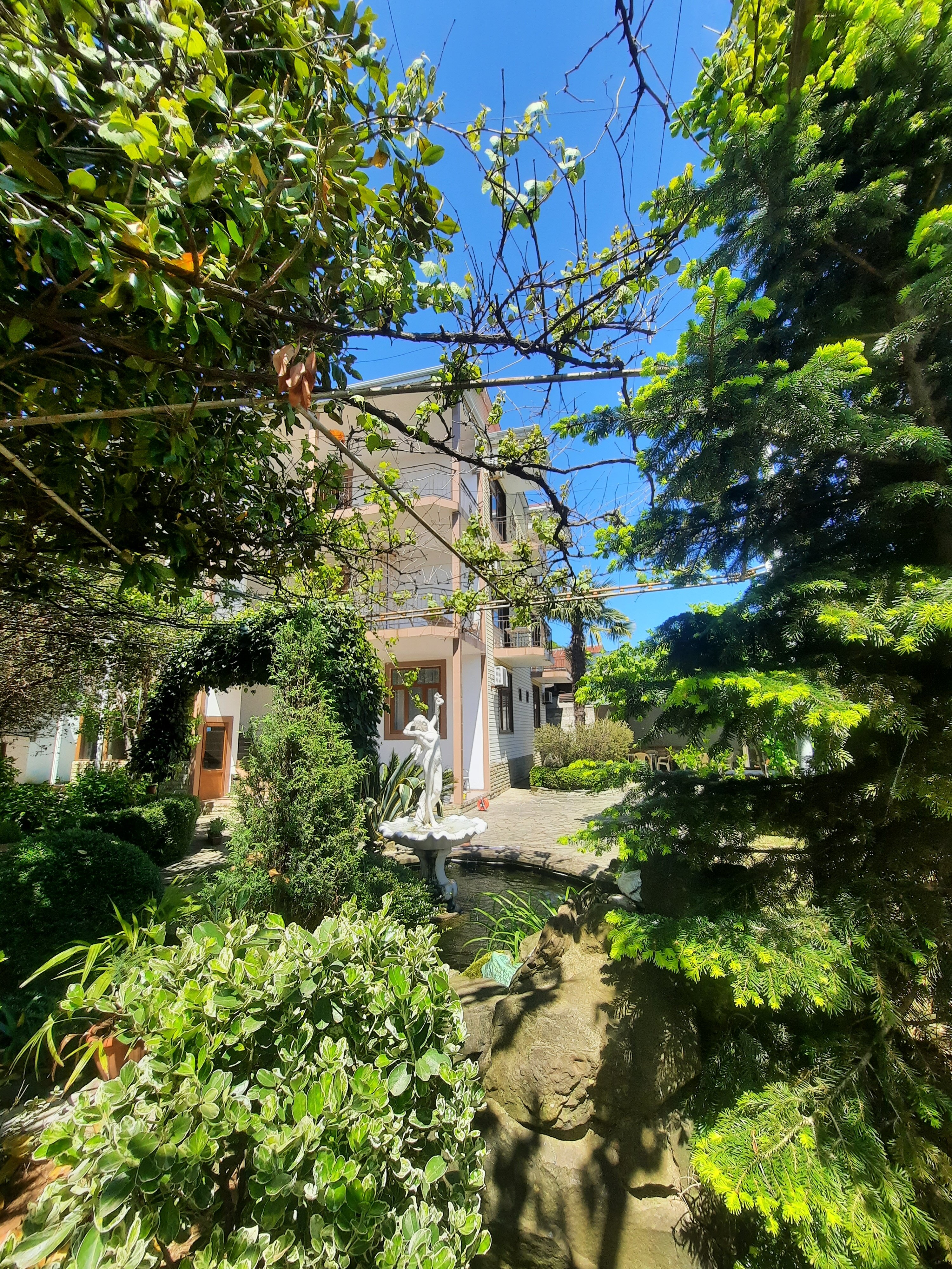 Фото Солоники