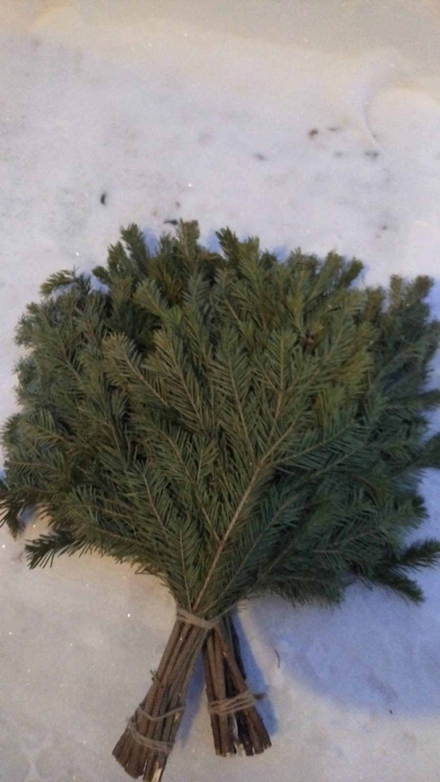 Фото Бани на хуторе