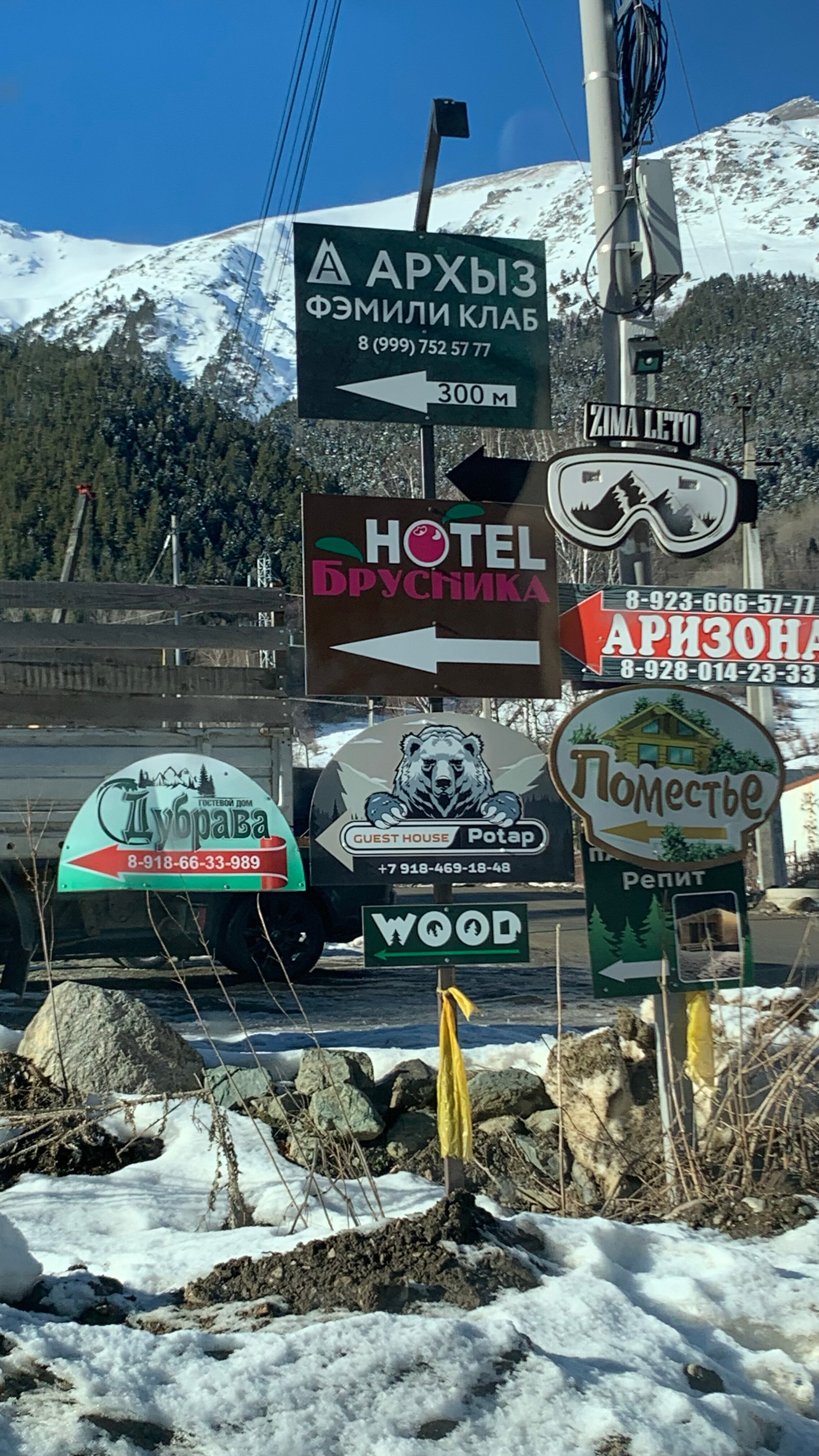 Фото Брусника