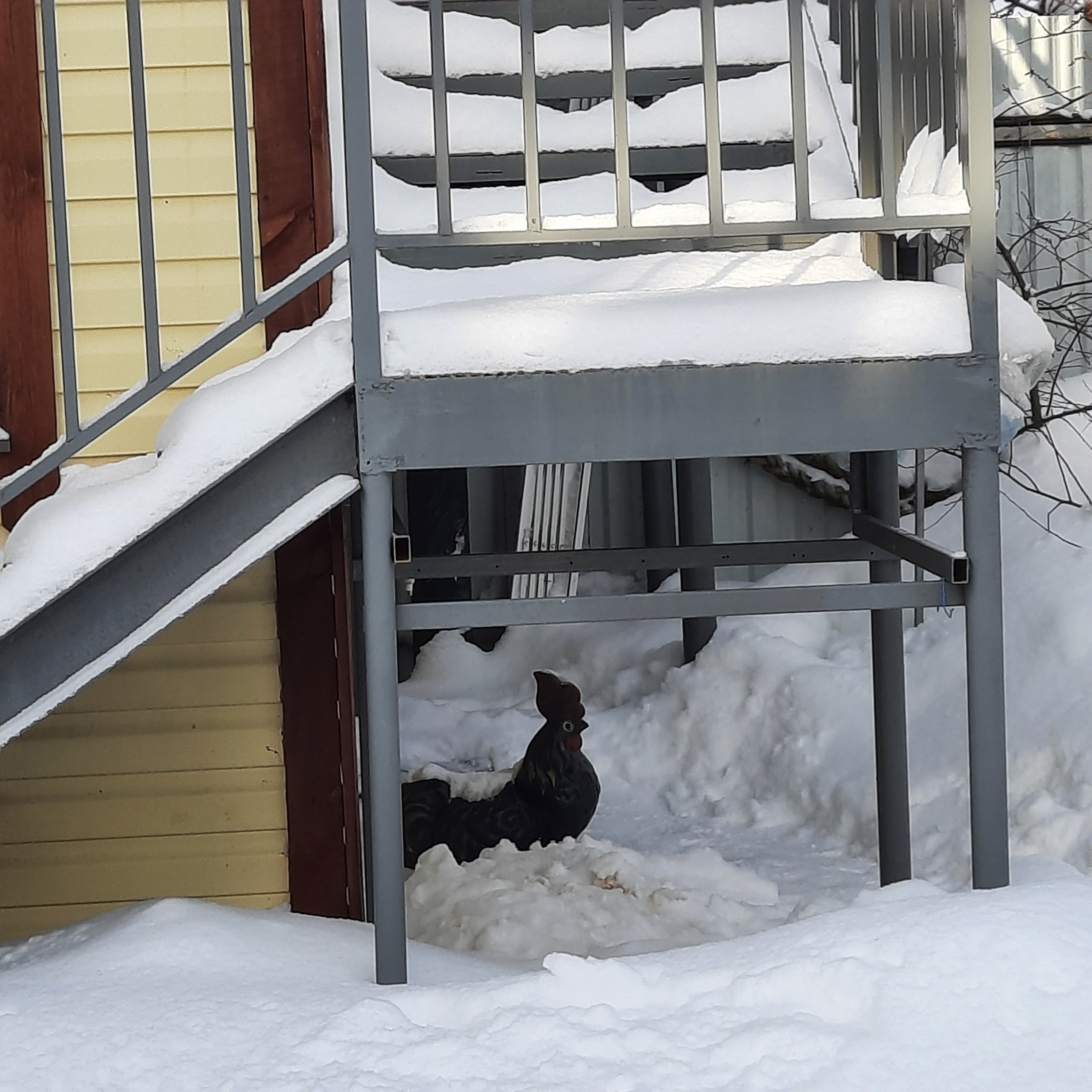 Фото Кобона