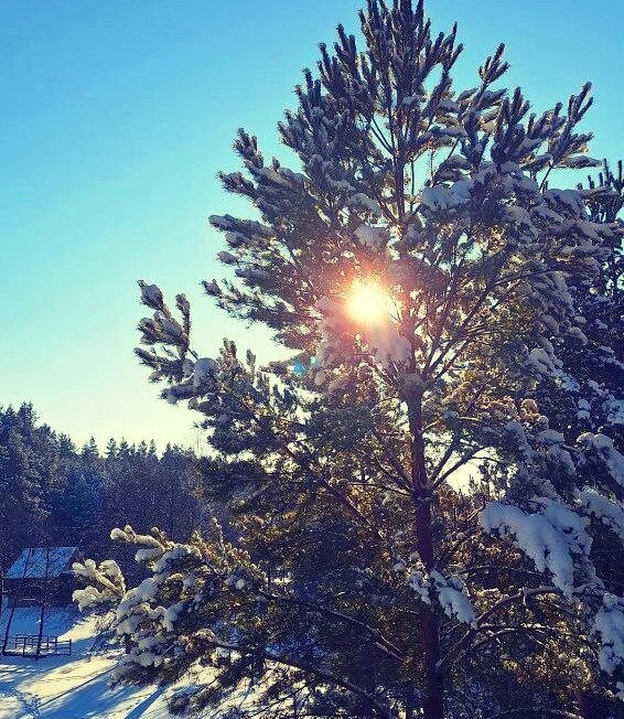 Фото Парк Чёшталей