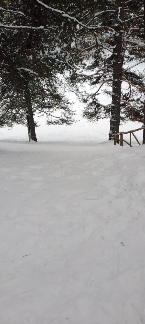 Фото Тихое Место