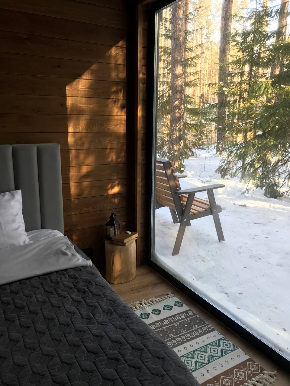 Фото Ёлки да Сосны