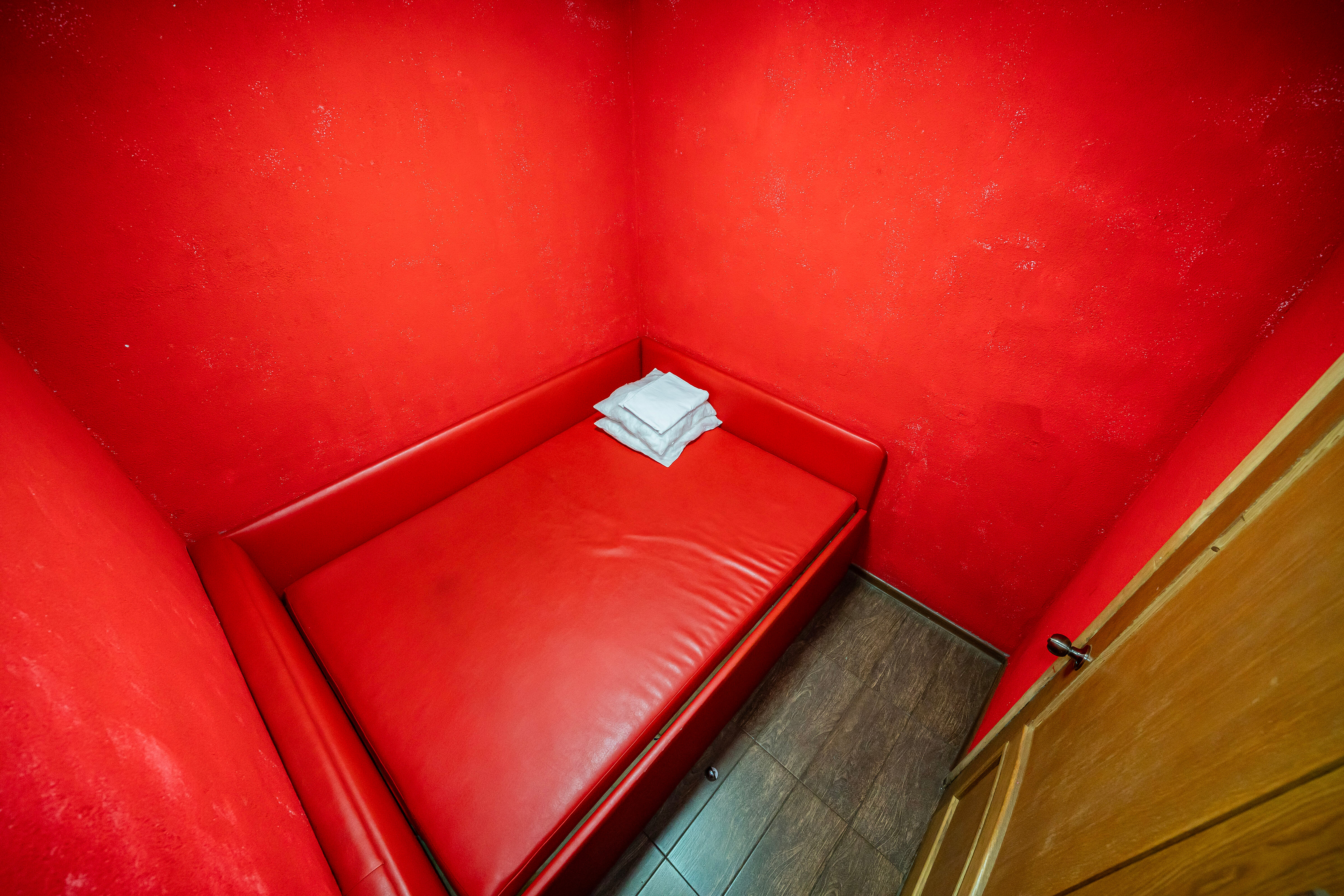 Фото Пальмы