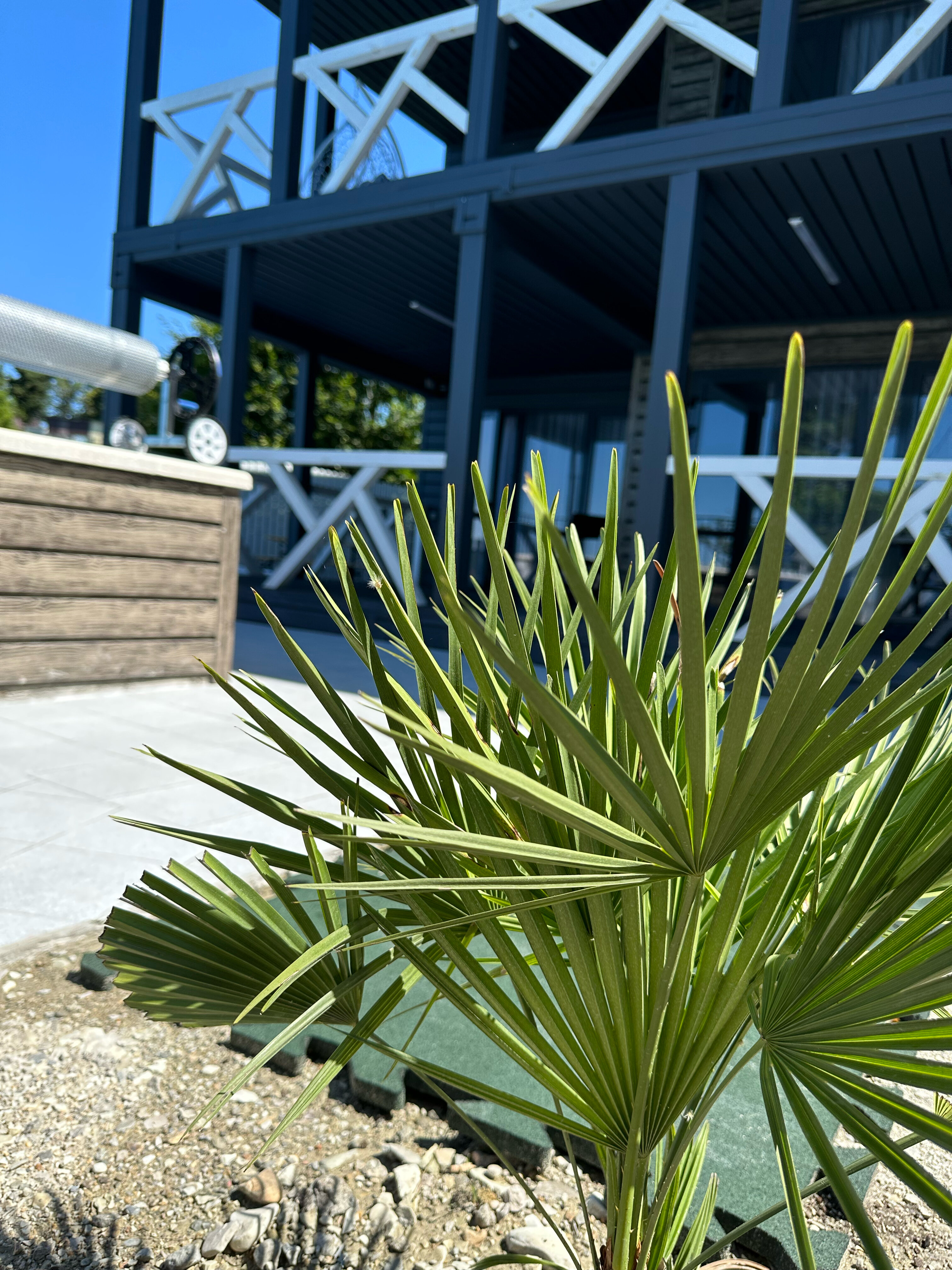 Фото Притяжение