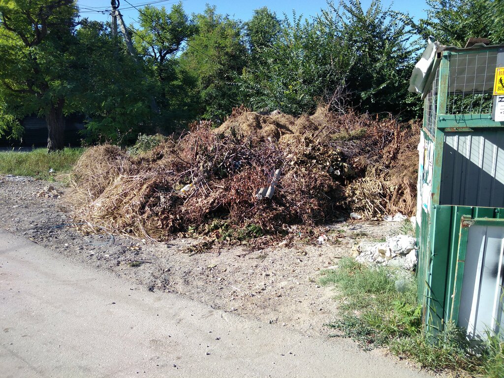 Waste management Gup Blagoustroystvo, Sevastopol, photo