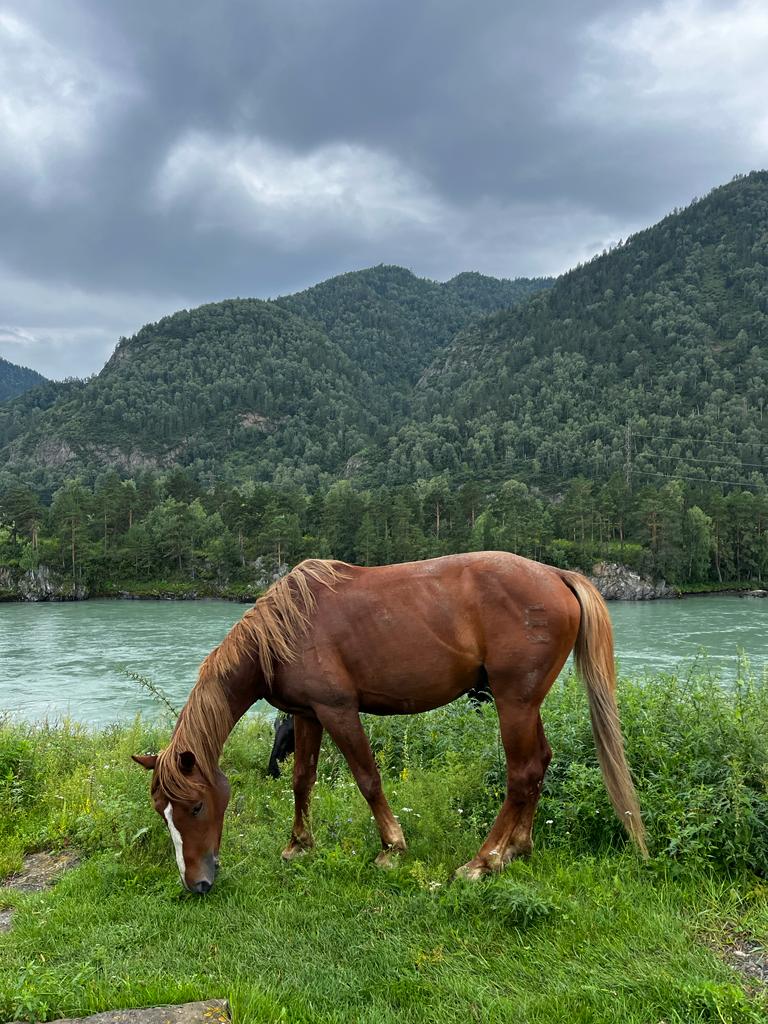 Фото Любо-дорого