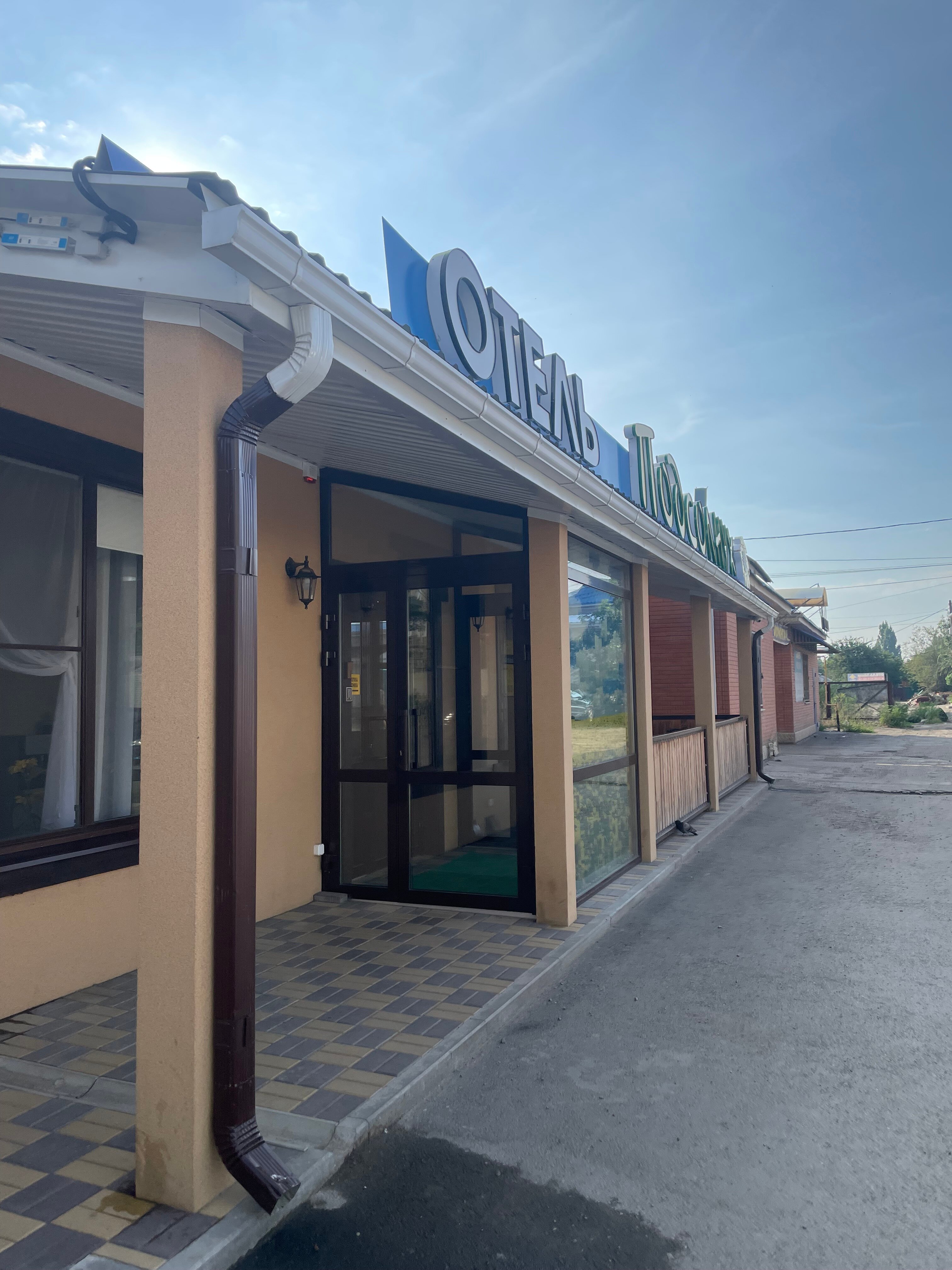 Фото Подсолнух