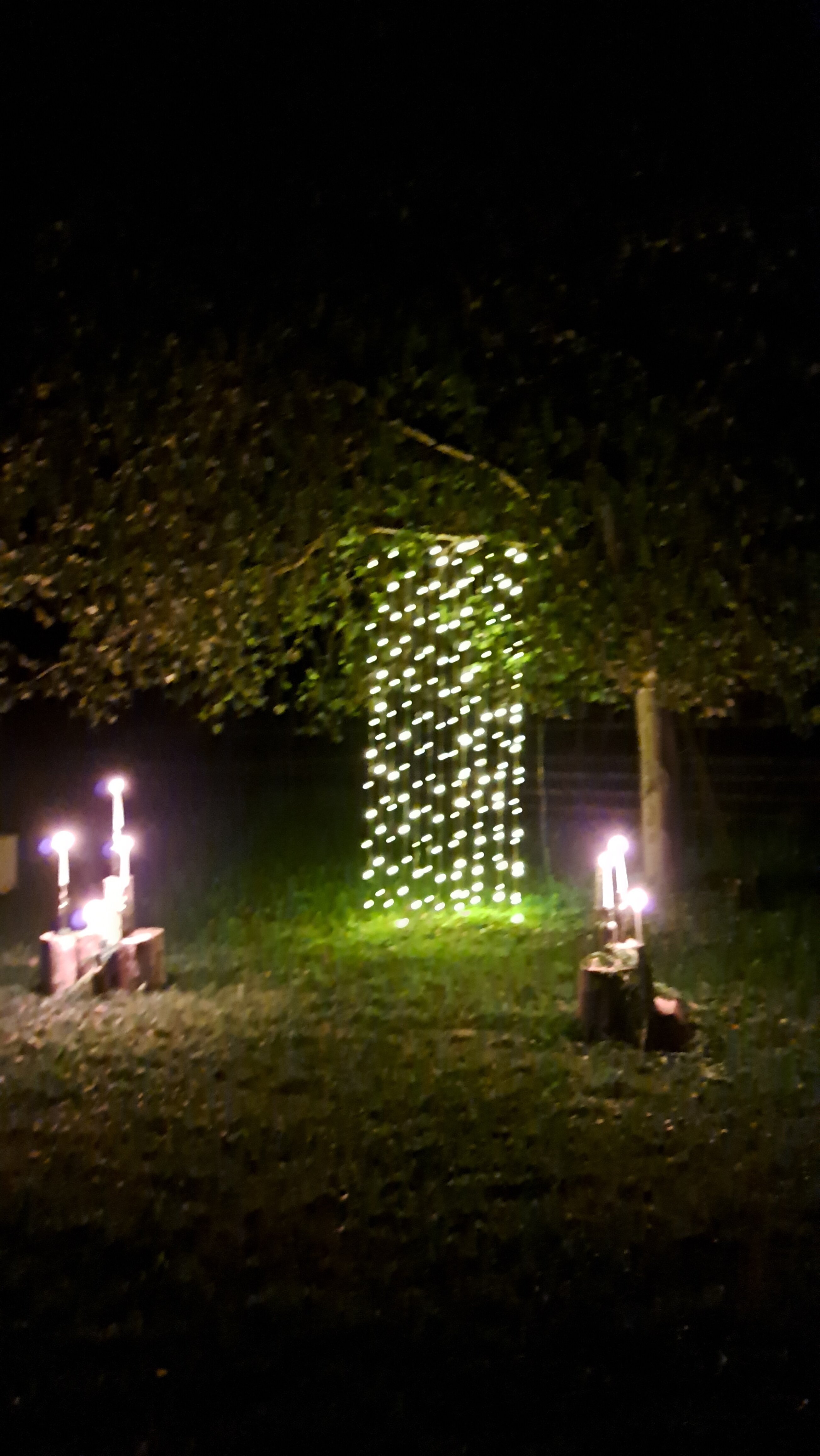 Фото Усадьба Заповедная