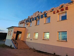 Rodnichok (Tambov Region, Kirsanovskiy munitsipalny okrug, Kalaisskiy selsovet), hotel